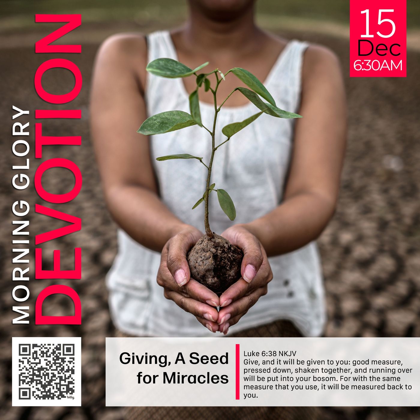 MGD: Giving, A Seed for Miracles