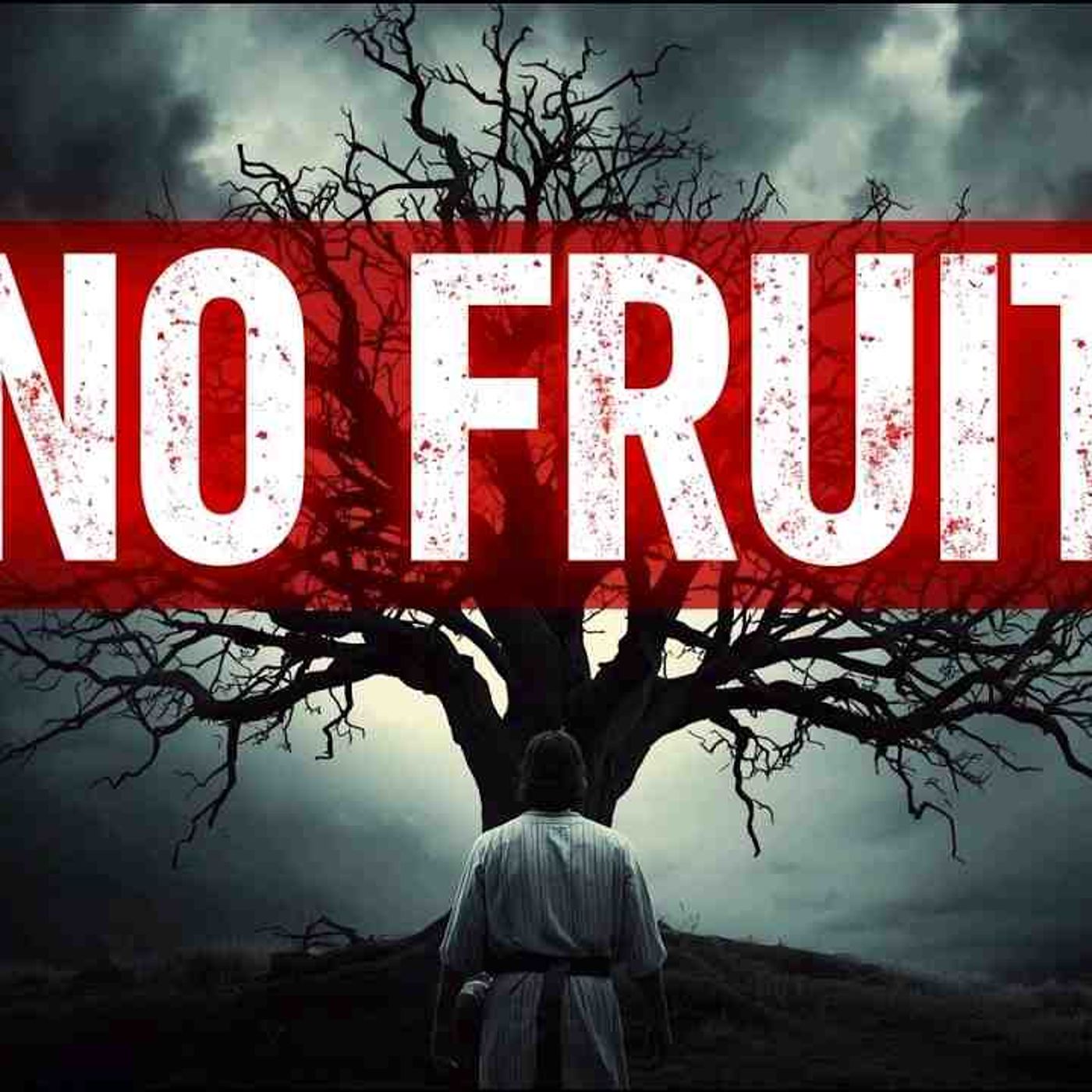 The Fig Tree Explained Without Confusion_Finally Understand What Jesus Was Targeting(MP3_160K) episode artwork