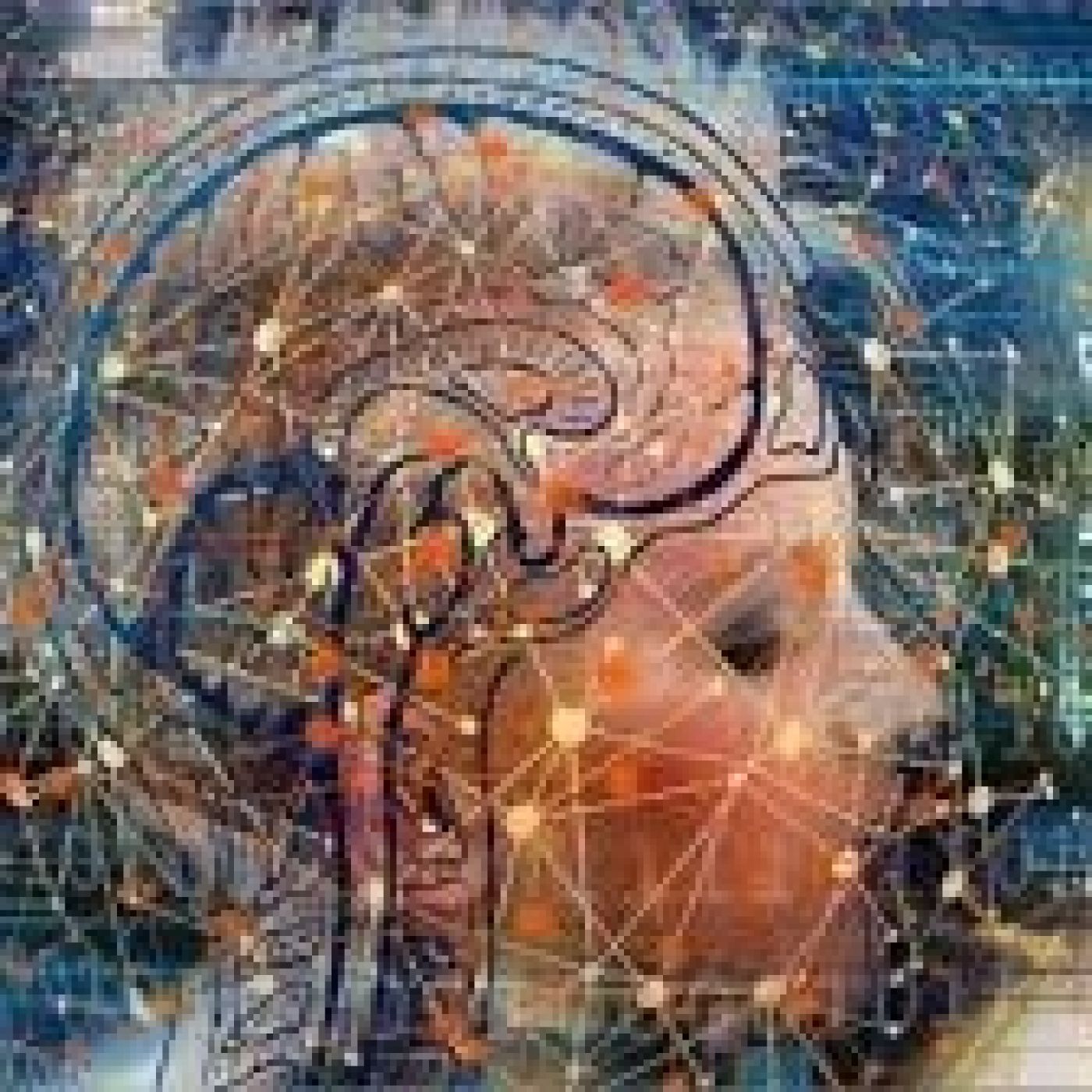 Cerebro salutogénico ¿el cerebro es capaz de producir, por sí mismo, salud? - Episodio exclusivo para mecenas episode artwork