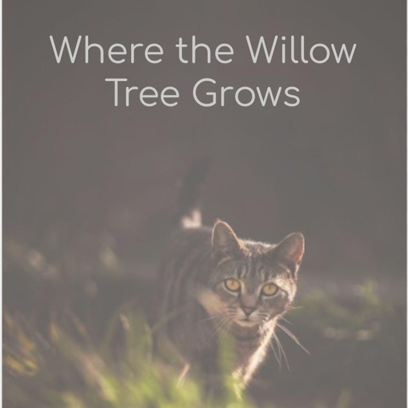Where the Willow Tree Grows