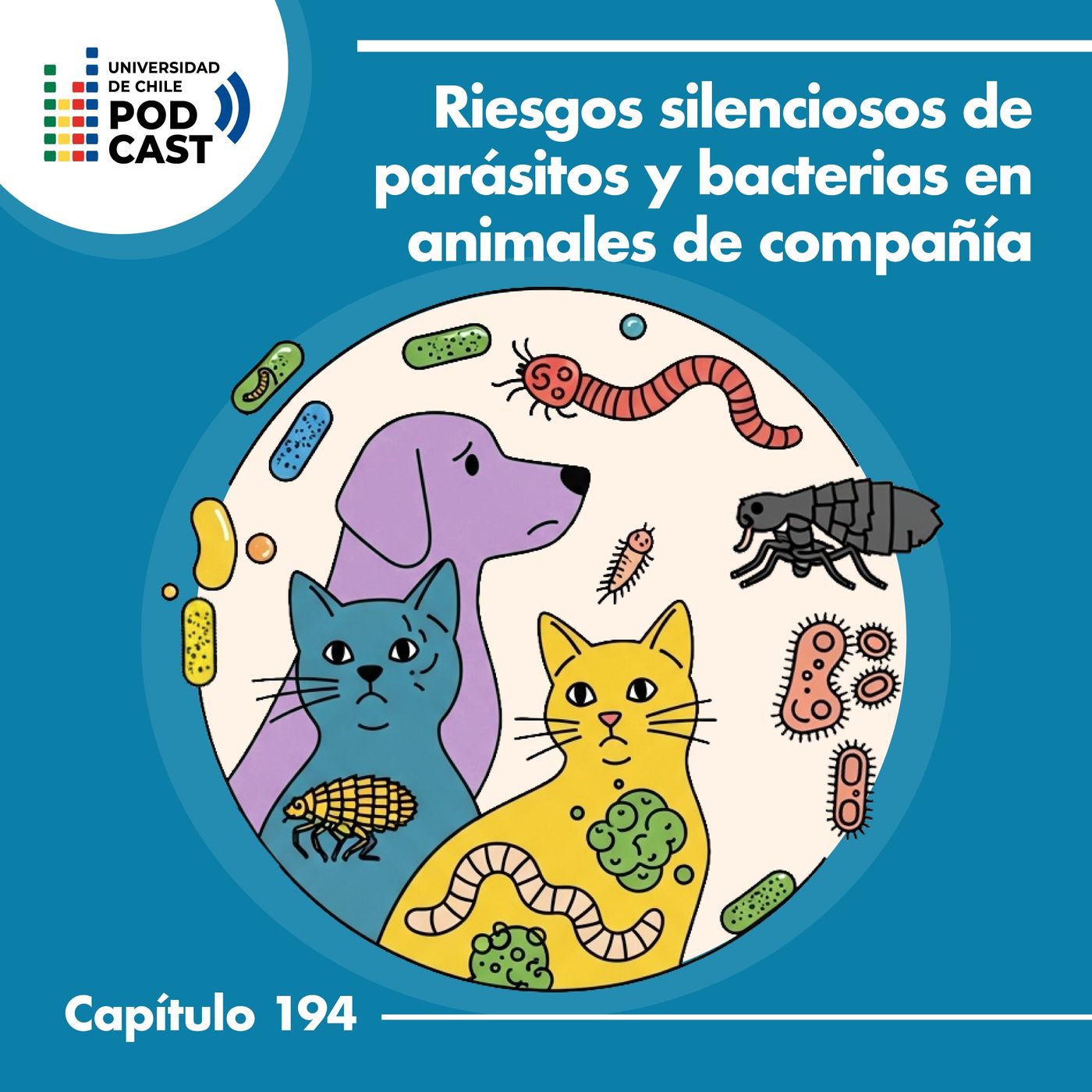 Riesgos silenciosos de bacterias y parásitos en animales de compañía