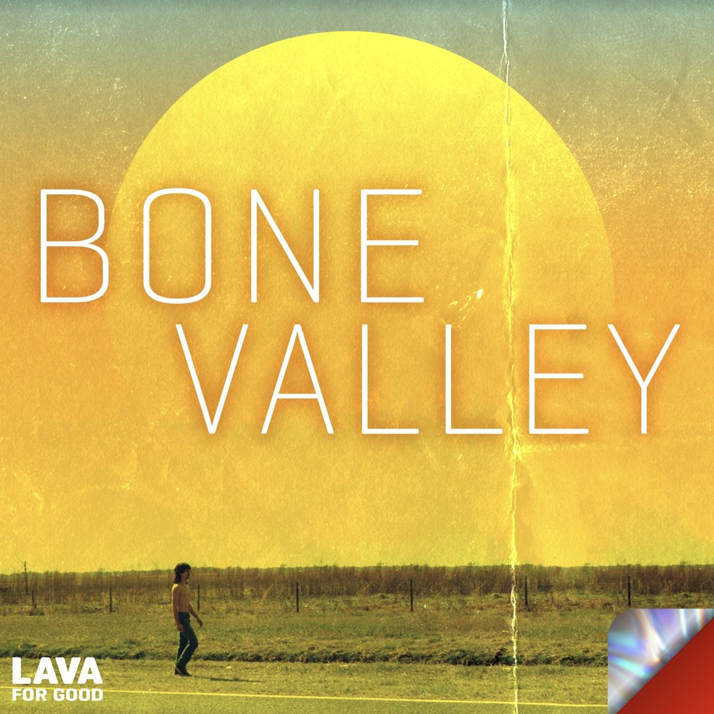 Gilbert King Bone Valley Injustice Leo Schofield Case final