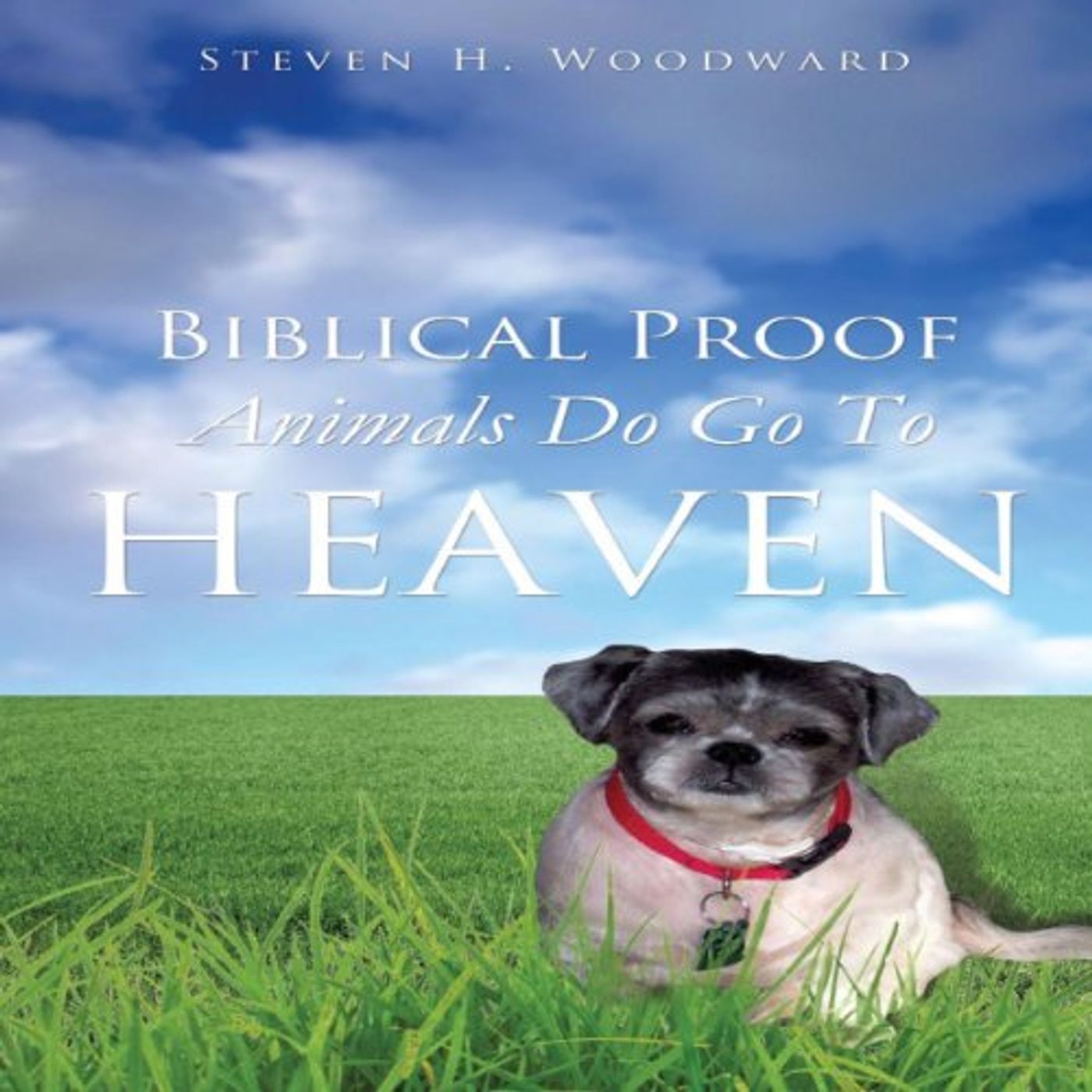 Get the Popular Titles Audiobooks in Religion & Spirituality, Christianity