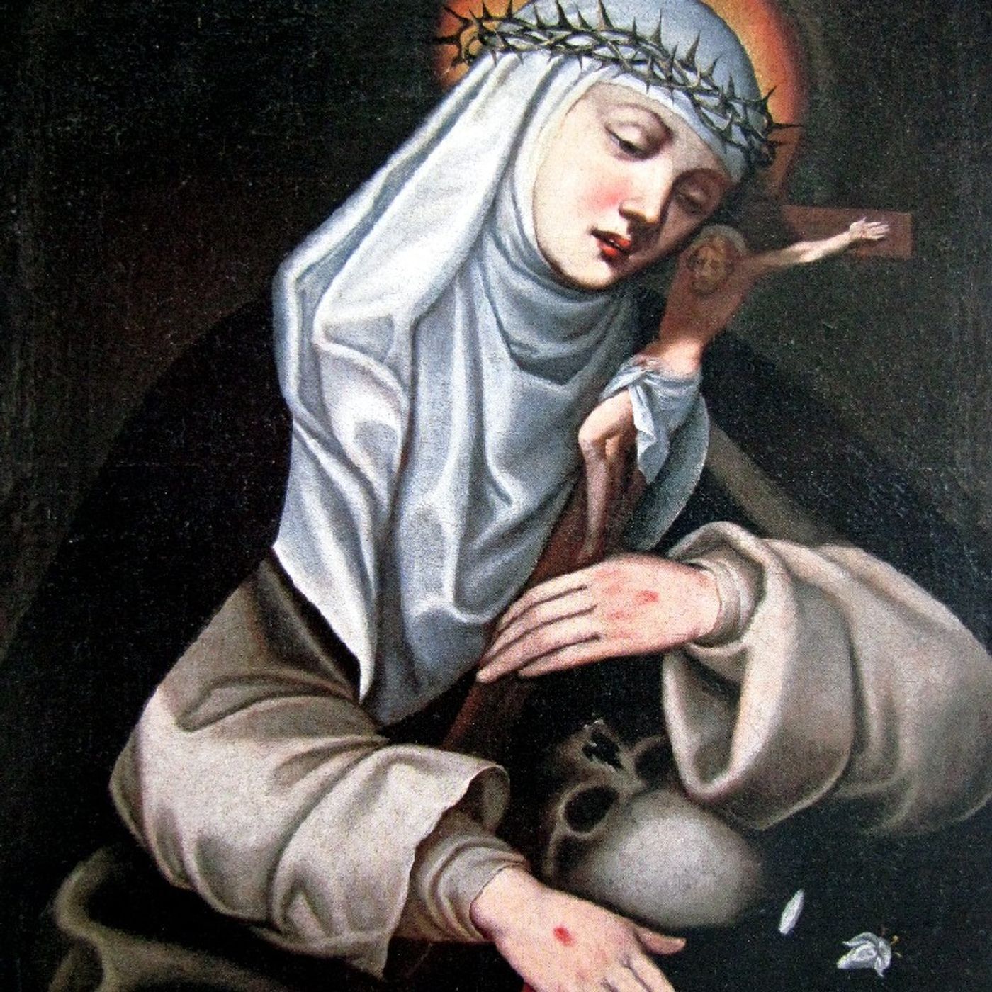 Santa Catalina de Siena episode artwork
