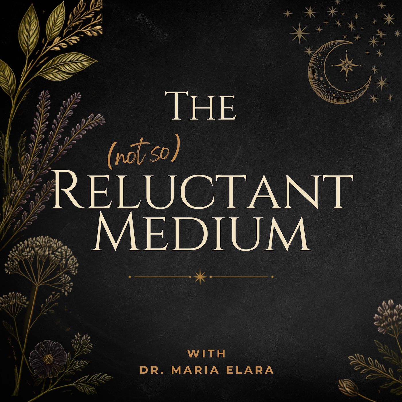 Finding Peace Amidst Chaos: A Journey into Sufism with Salima Adelstein