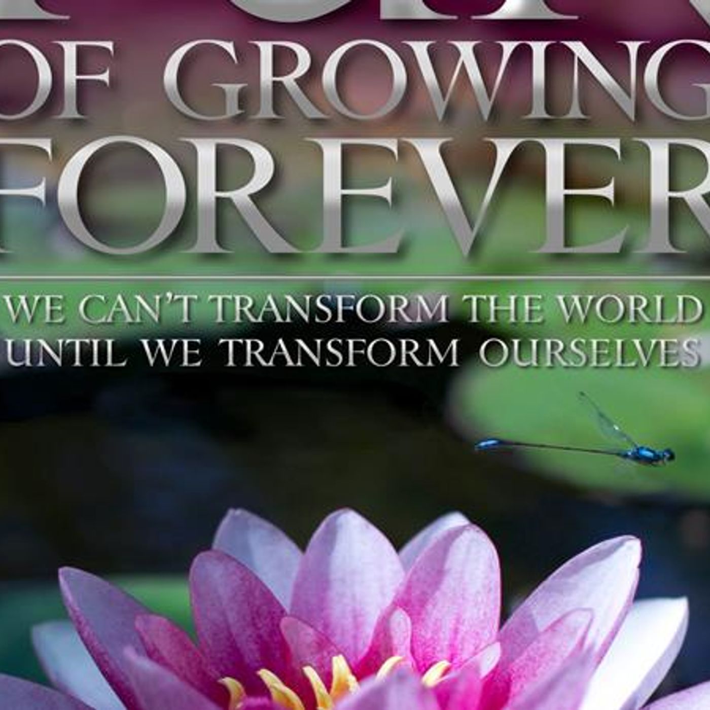 Cafe Esoterica with Shawn & Nina . Guest Author Roberta Grimes, Afterlife Expert episode artwork