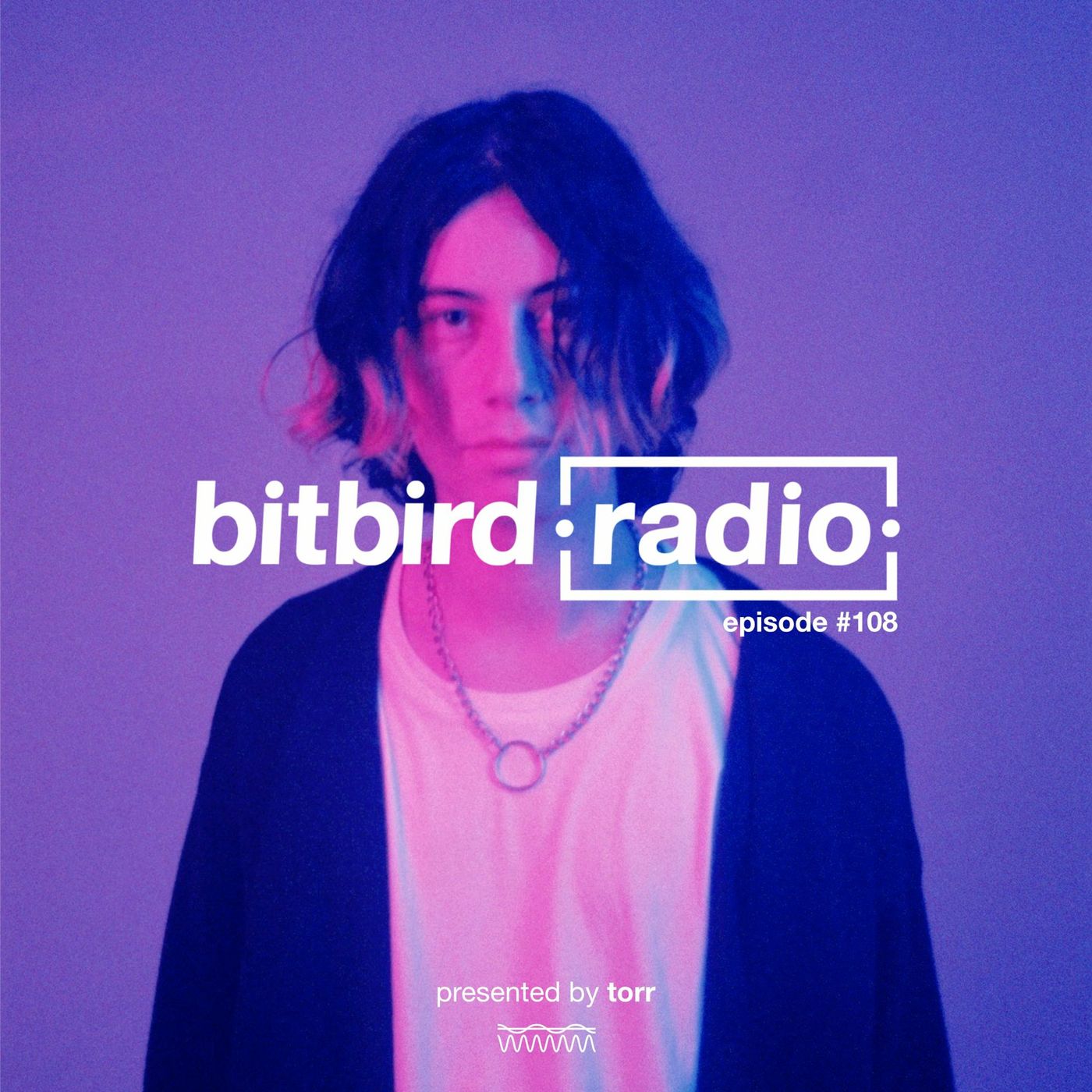 torr Presents: bitbird radio #108