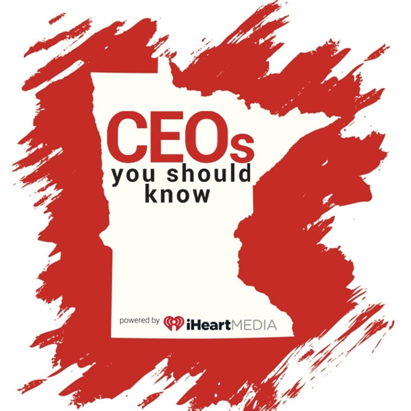 MN CEOs You Should Know