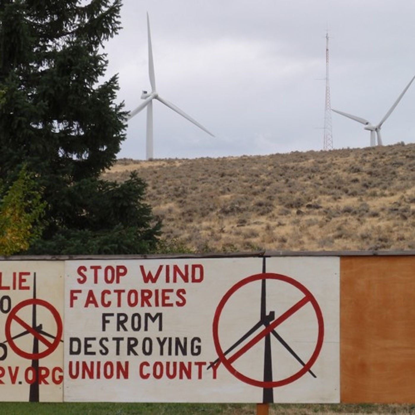 Health Division Validates Some Concerns About Wind Farm Noise episode artwork