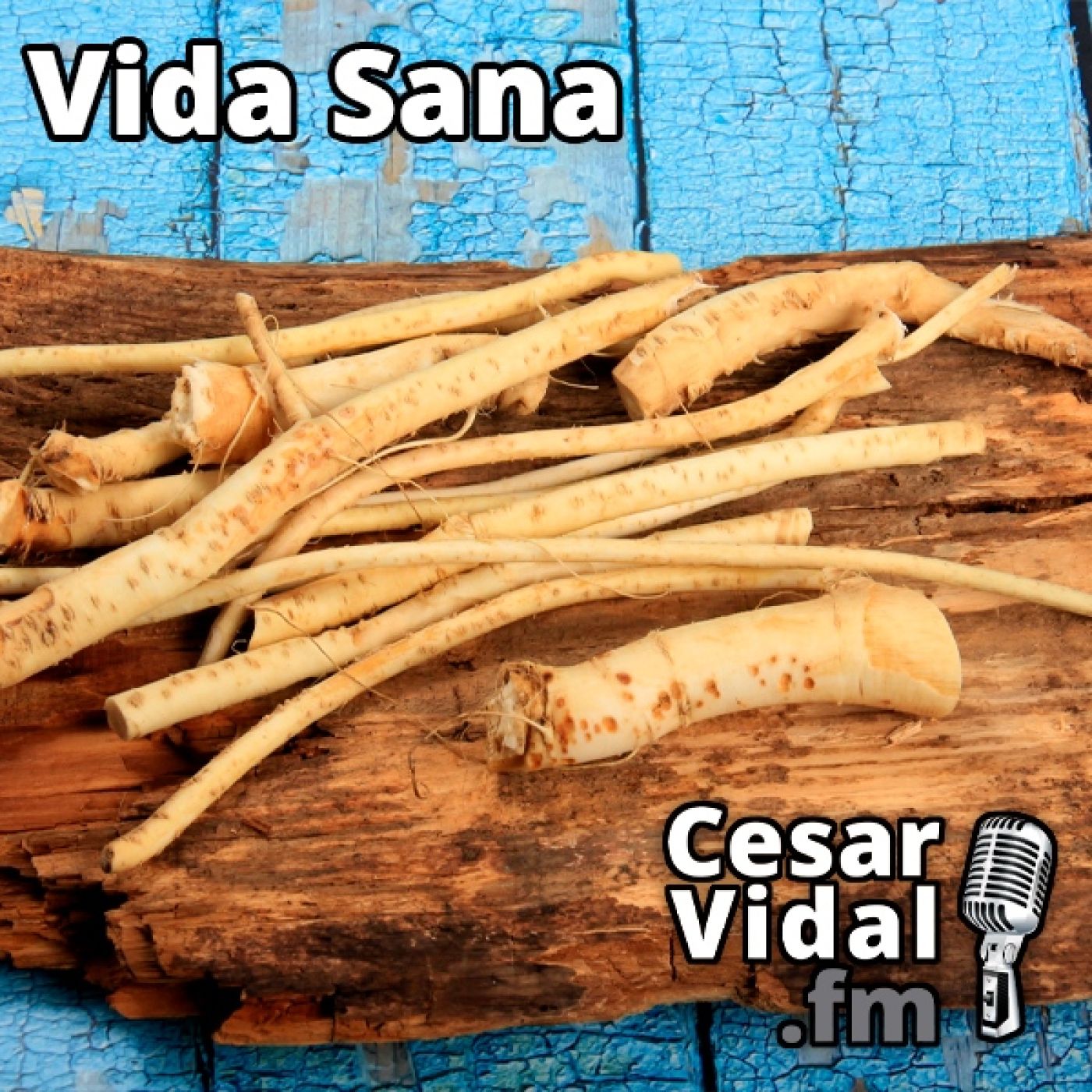 La Voz de César Vidal