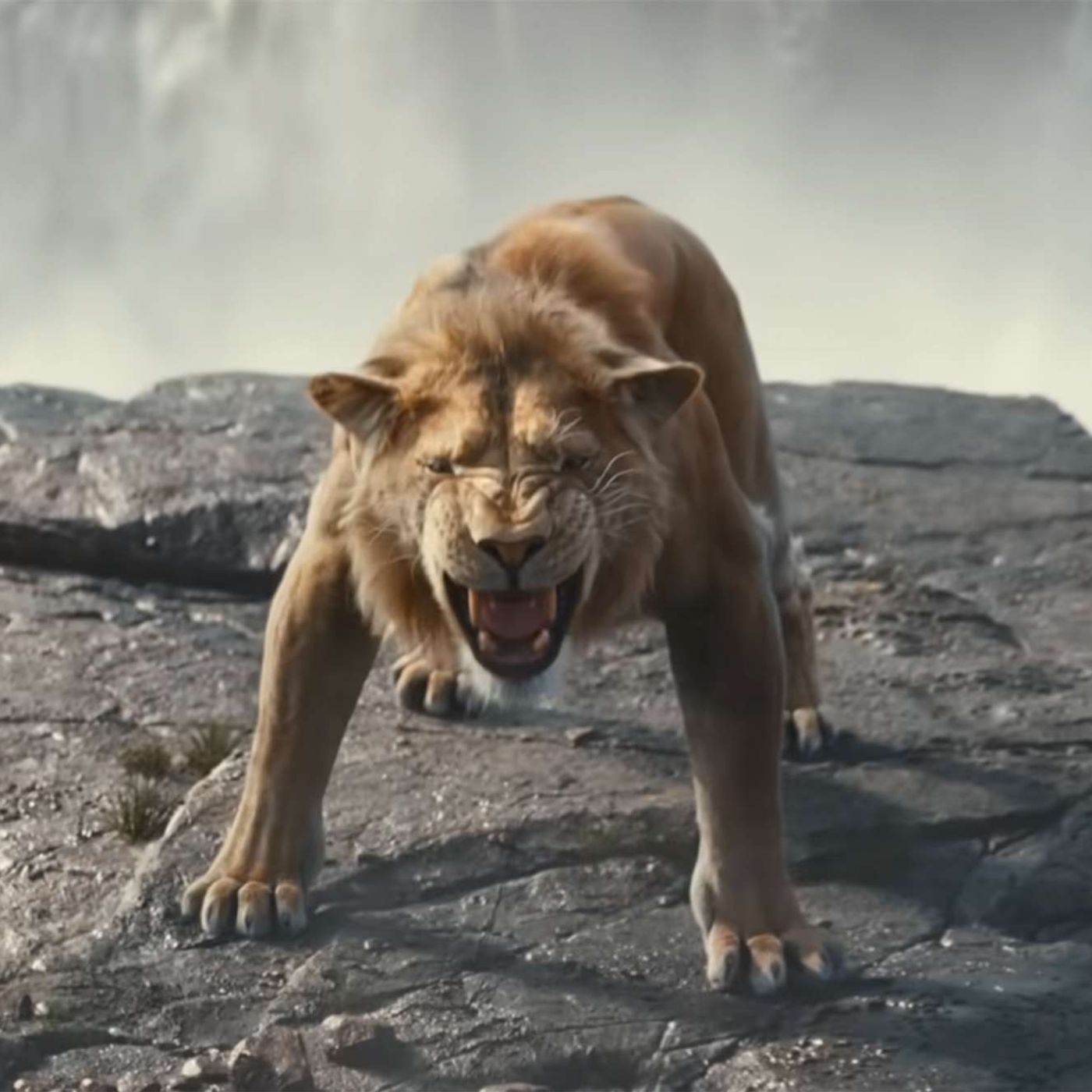 Subculture Film Reviews - MUFASA: THE LION KING (Central Coast Radio) episode artwork