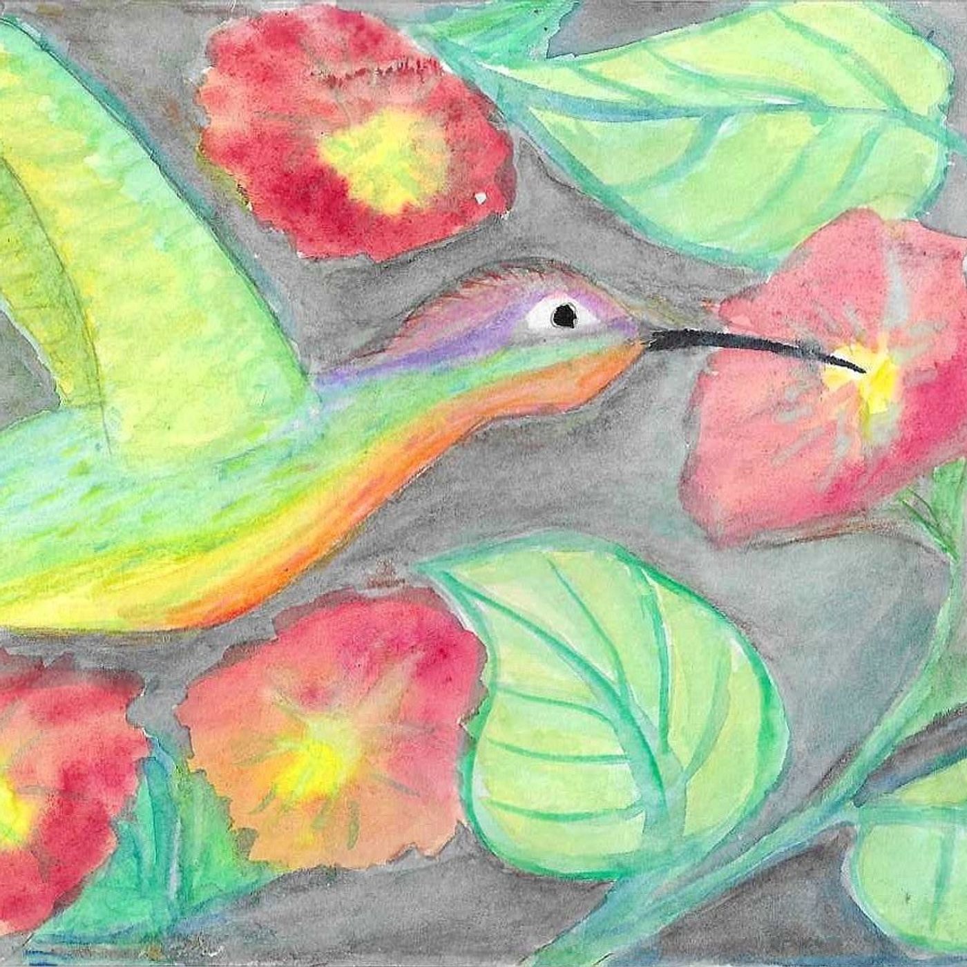 COLORI E LUCI