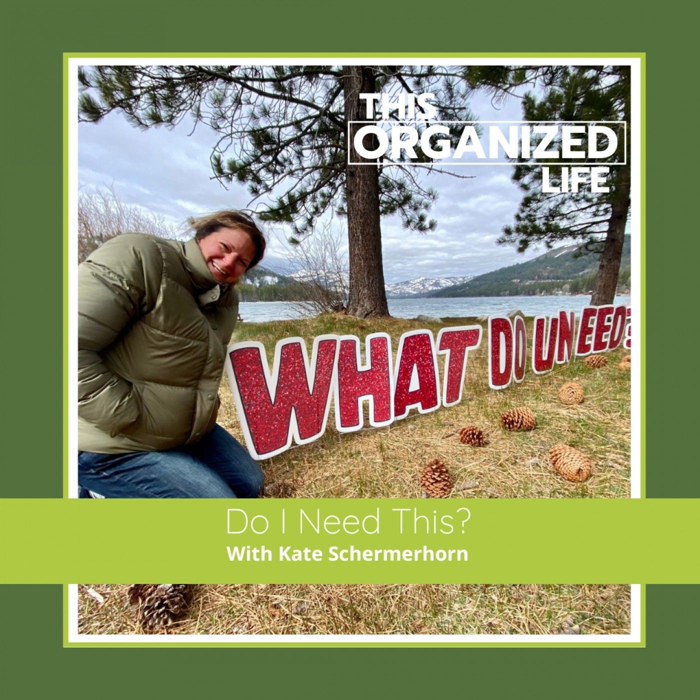 This Organized Life: Decluttering Tips for Moms, Entrepreneurs and Professional Organizers
