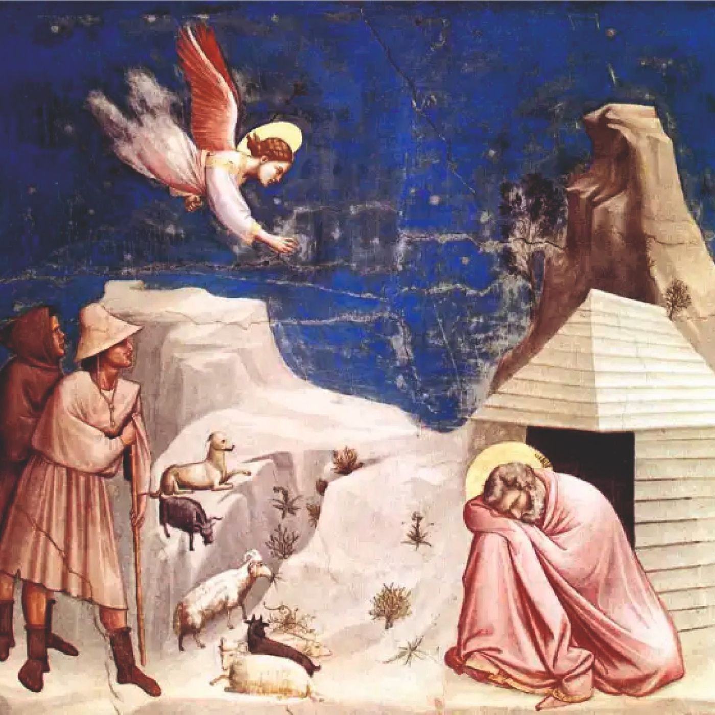 Vangelo e Omelia, 18 Dicembre 2022 episode artwork