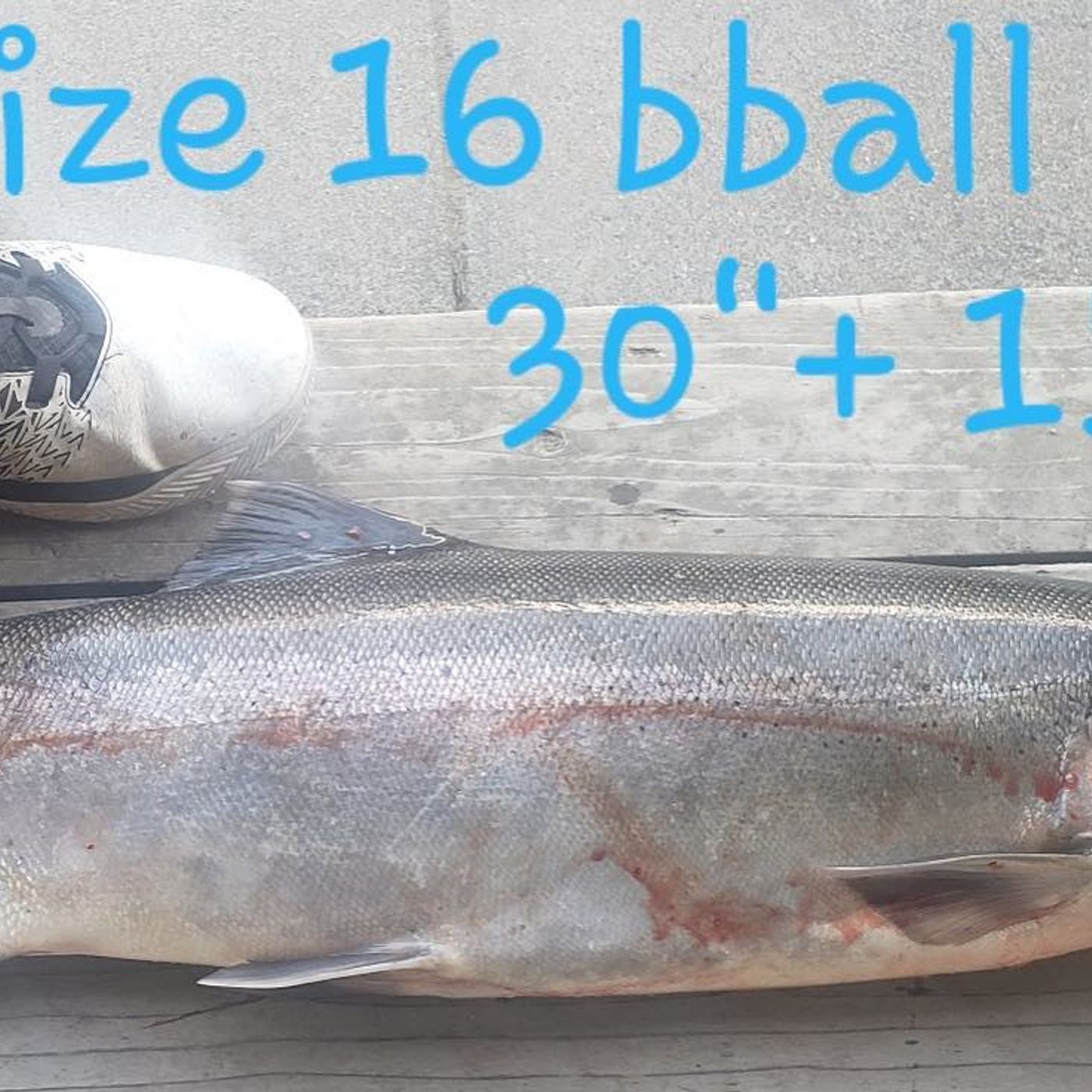 Robert Crandall Fish Story - 10:19:19, 8.24 AM episode artwork