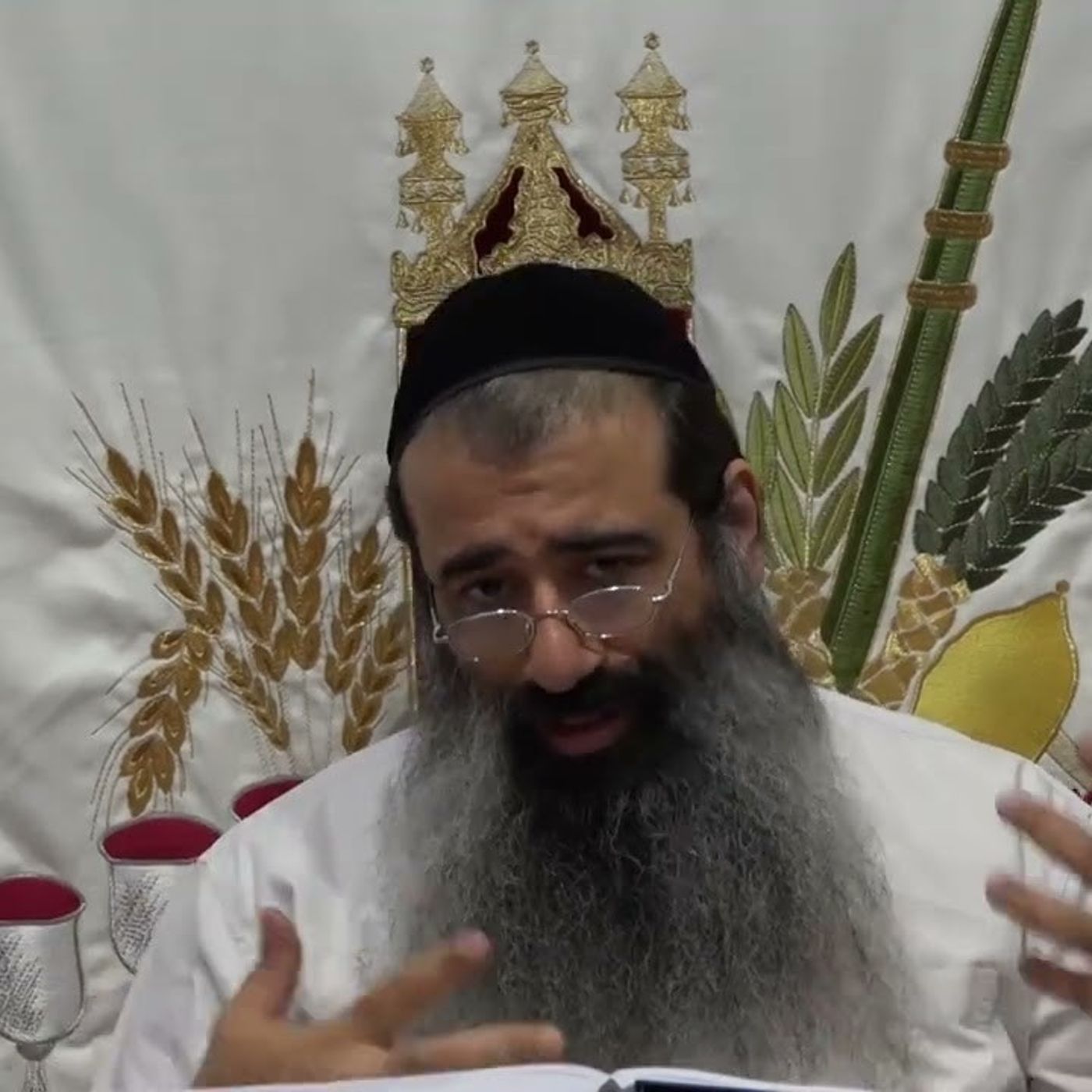 כוונות סוכות - הקפות - שיעור ד