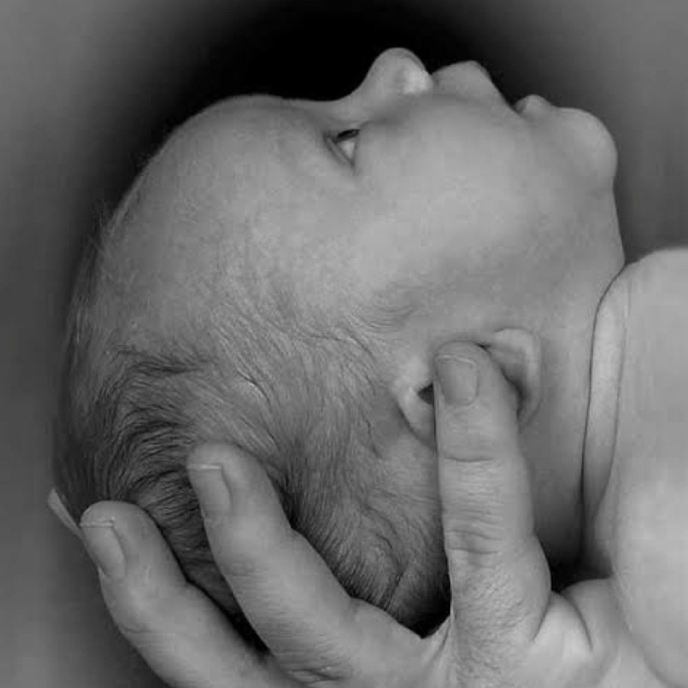 A Teoria da Vinculação - John Bowlby