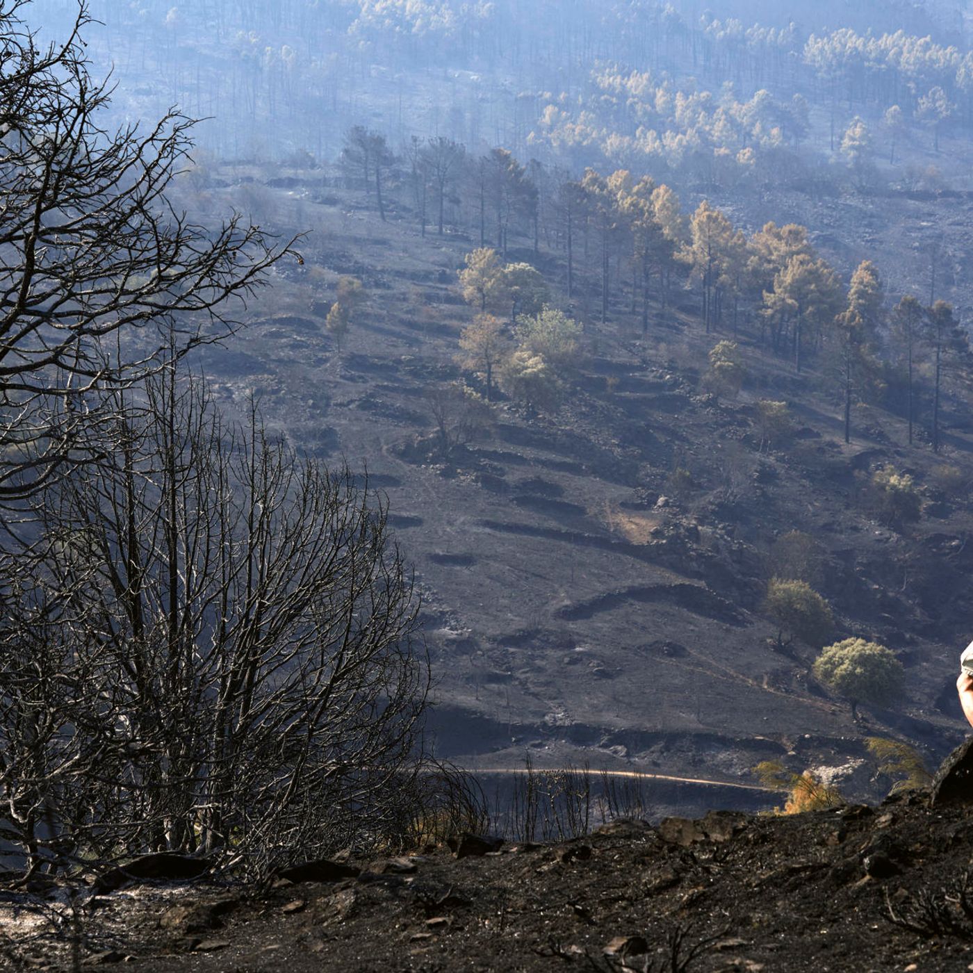 En Clave Rural: El infierno en Ávila ante el fuego y el abandono que sufren los vecinos de la comarca episode artwork