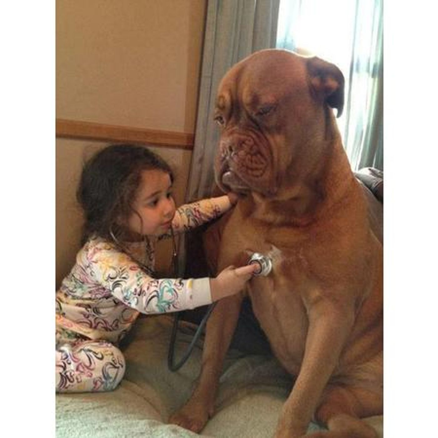 Survival Medicine Hour: Active Shooters, Animal Bites, More