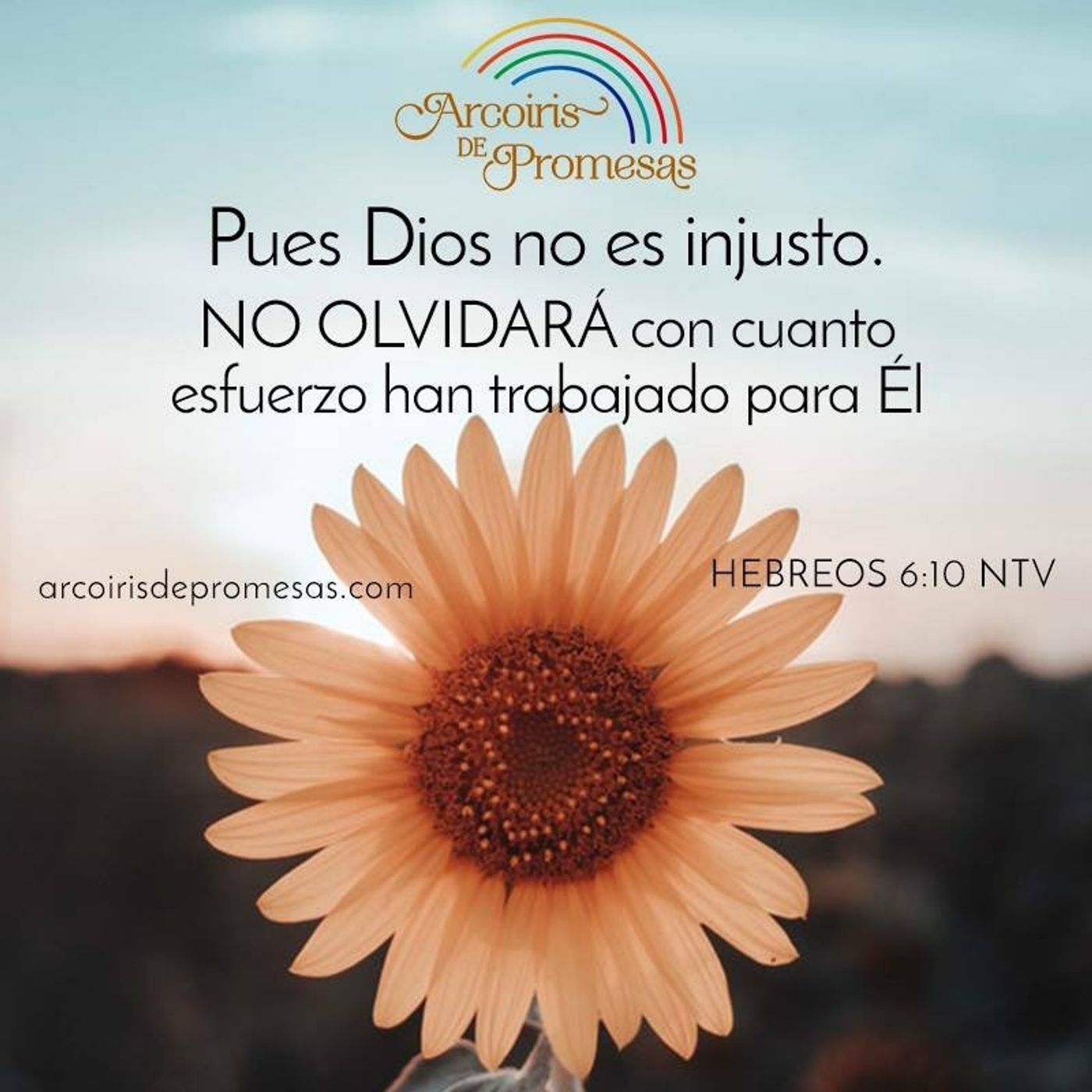 El podcast de Dimas N. Carvajal