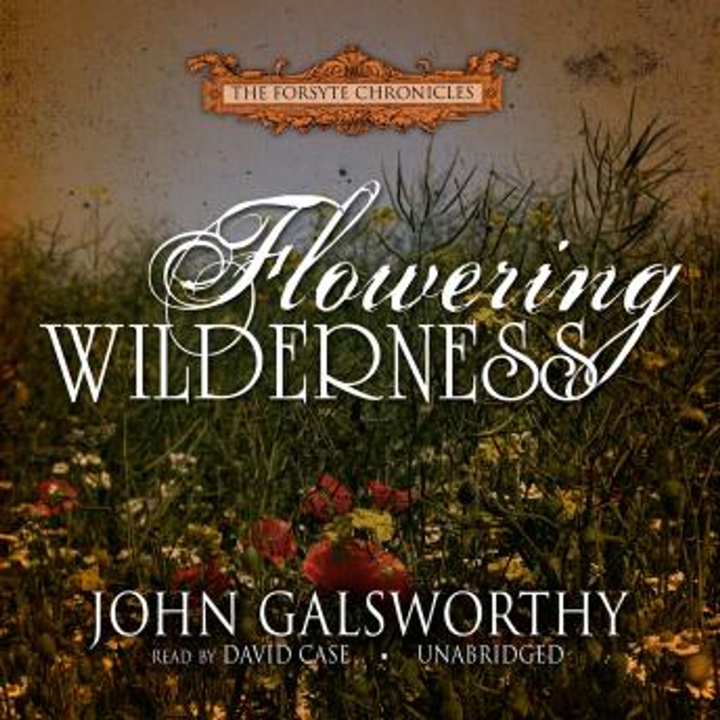 Listen to Trending Full Audiobooks in Fiction, Drama