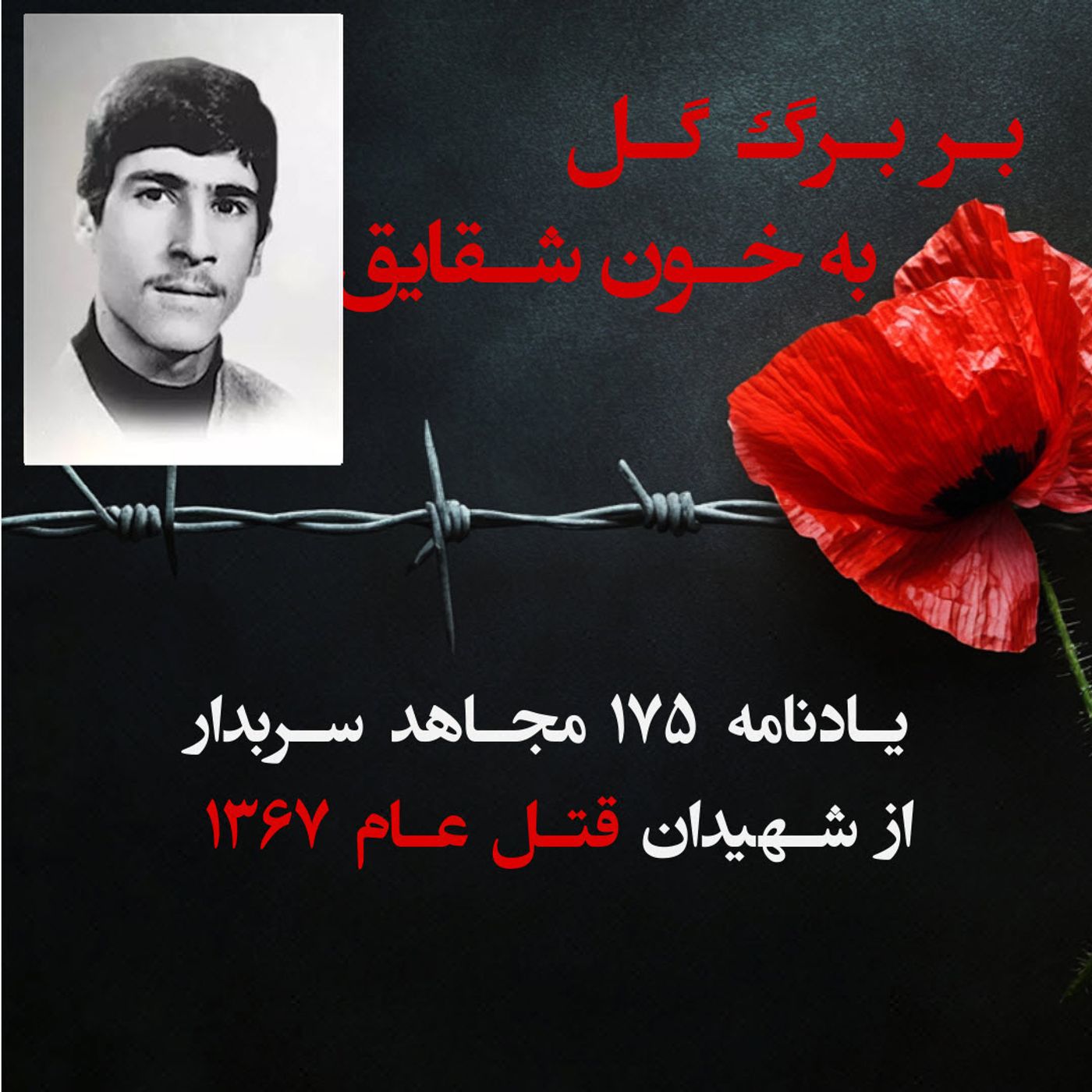 بربرگ گل به خون شقایق- علی اصغر غلامی-۱۰۳