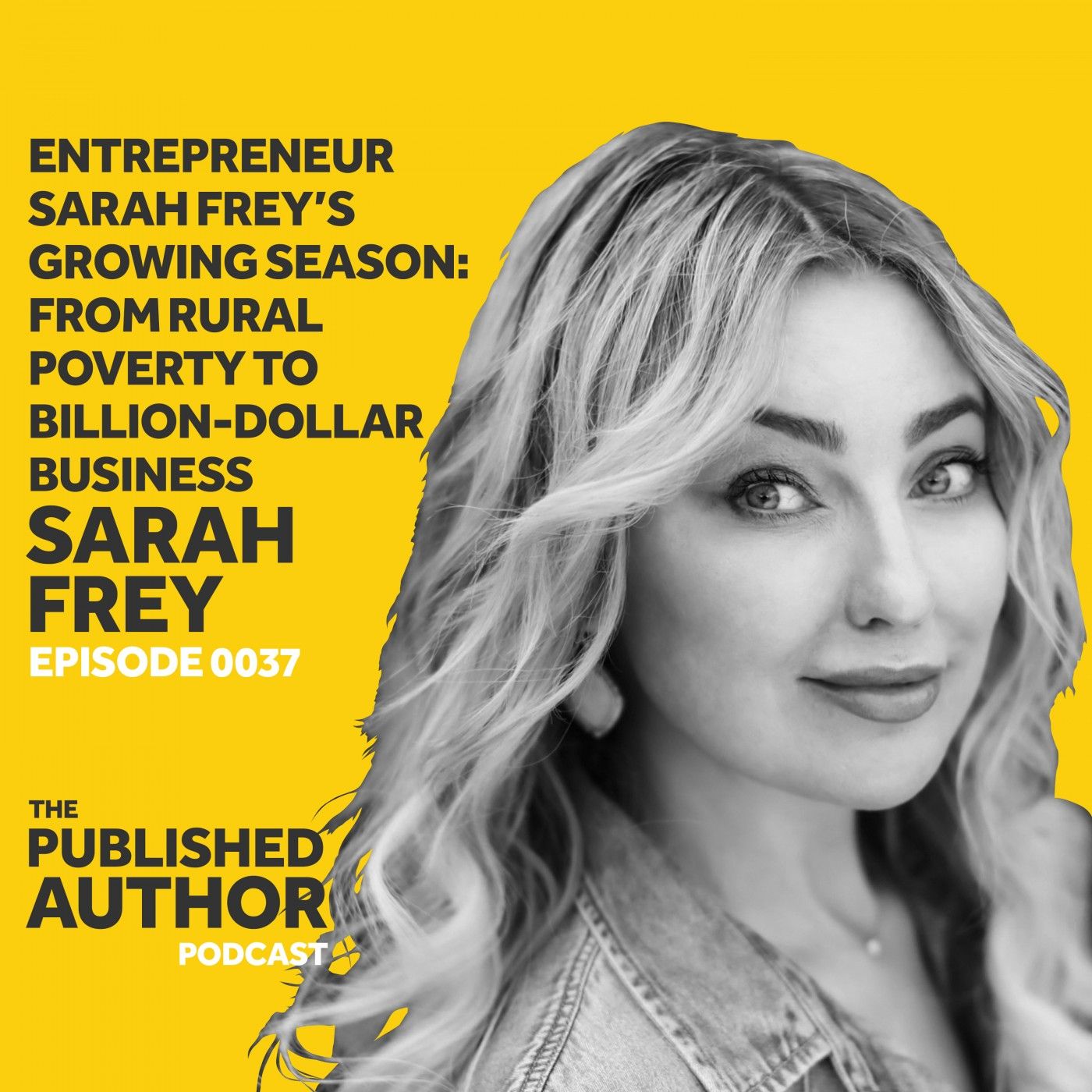 The Published Author Podcast