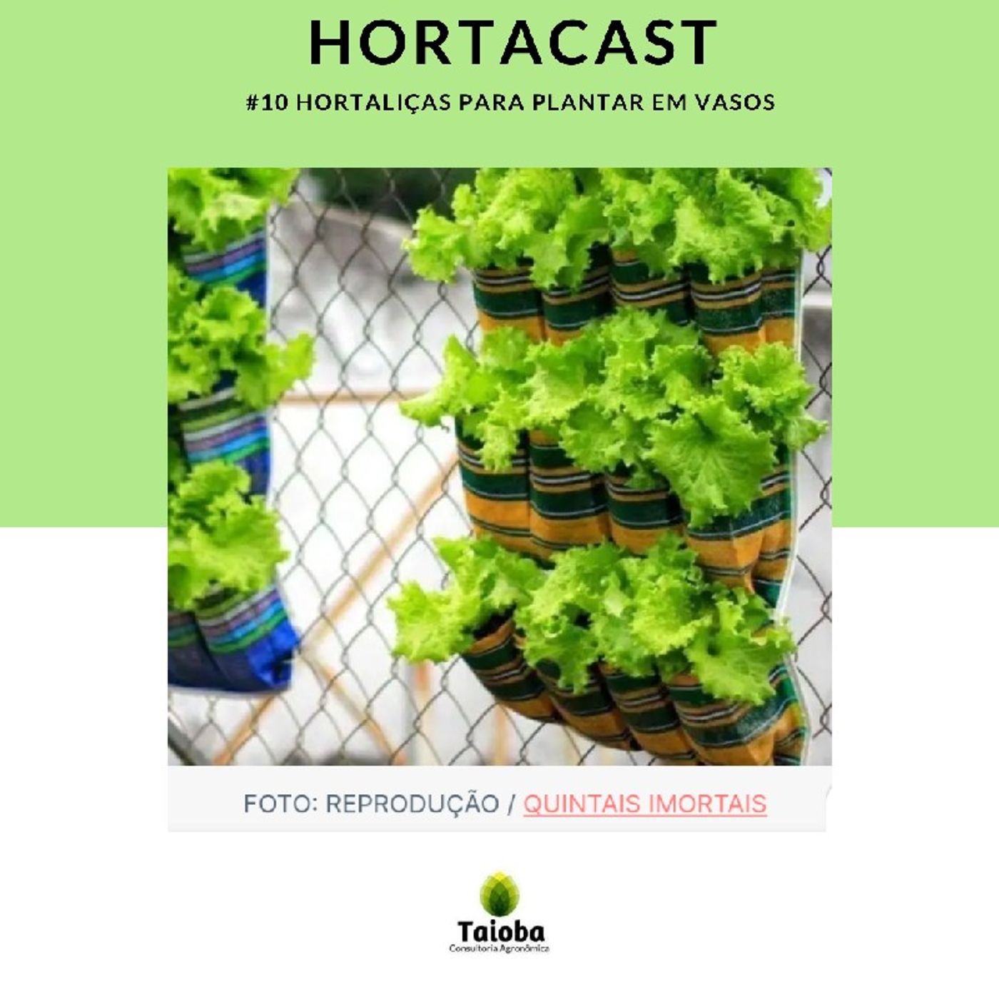 HortaCast\'s show