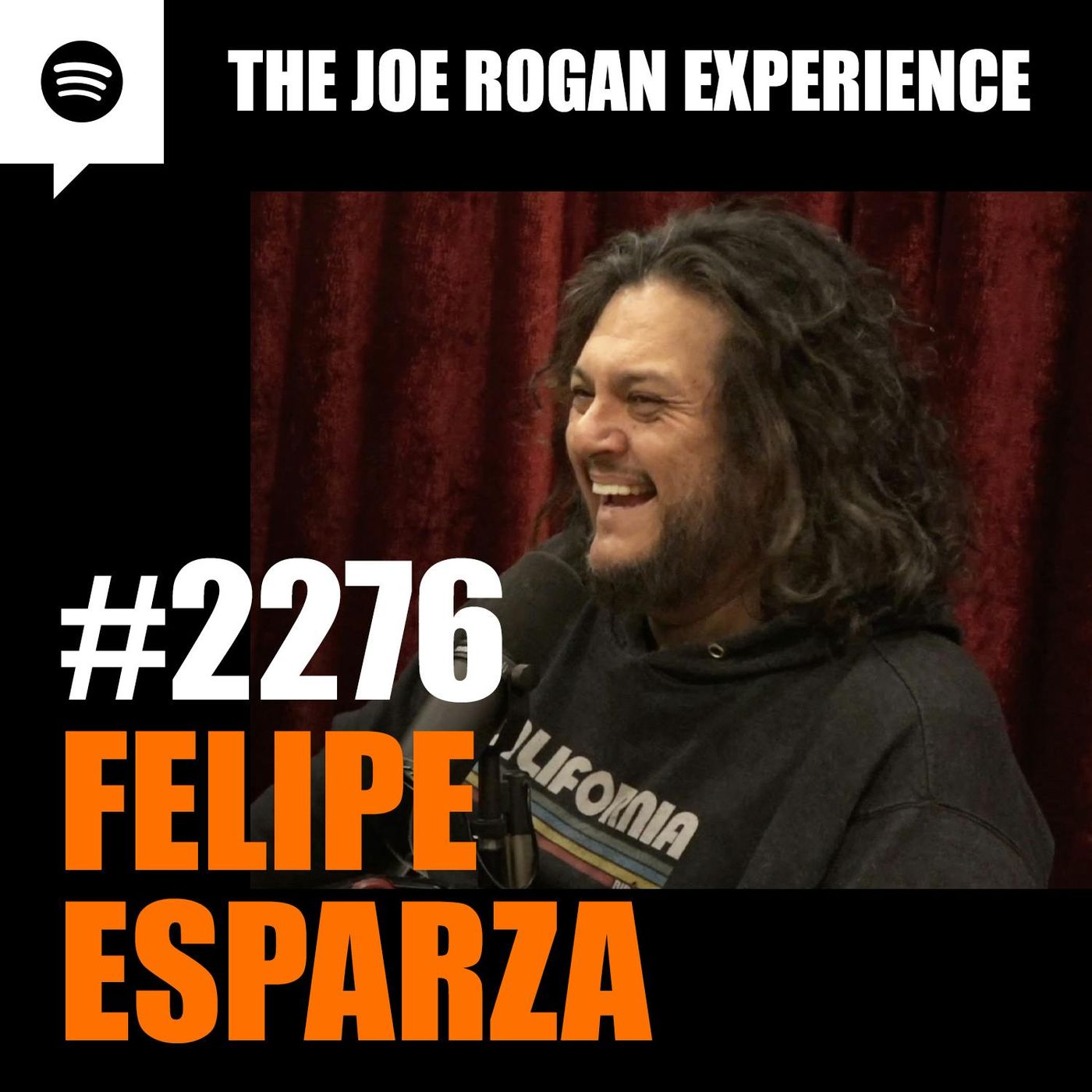 The Joe Rogan Experience