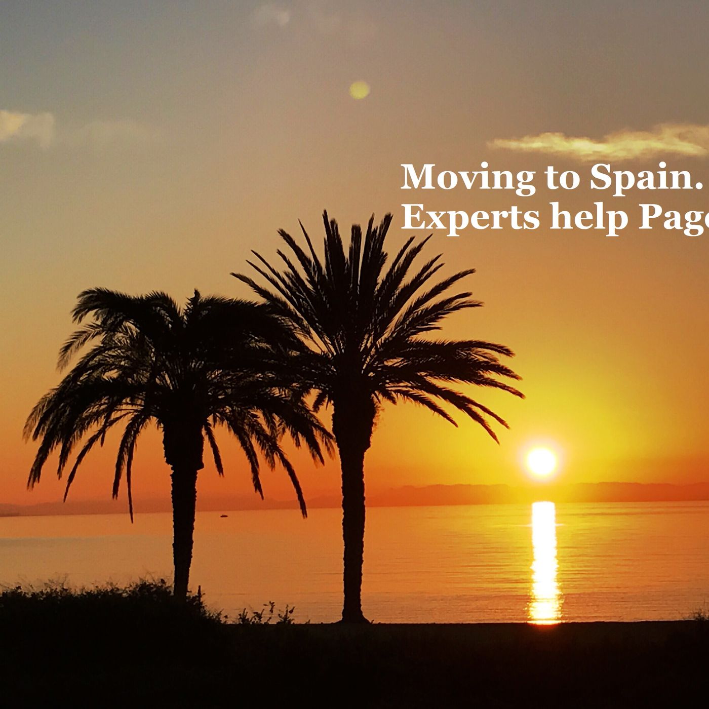 Experts help in Spain