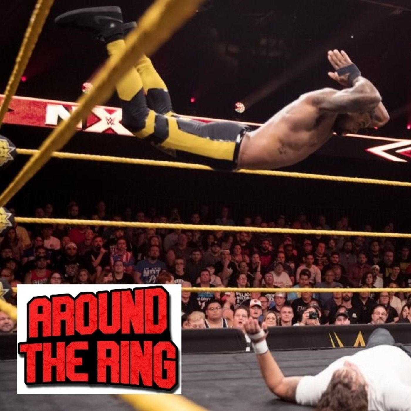 ATR # 108:  Rousey Training to Wrestle, DX Turns 20, TakeOver/SummerSlam Preview episode artwork
