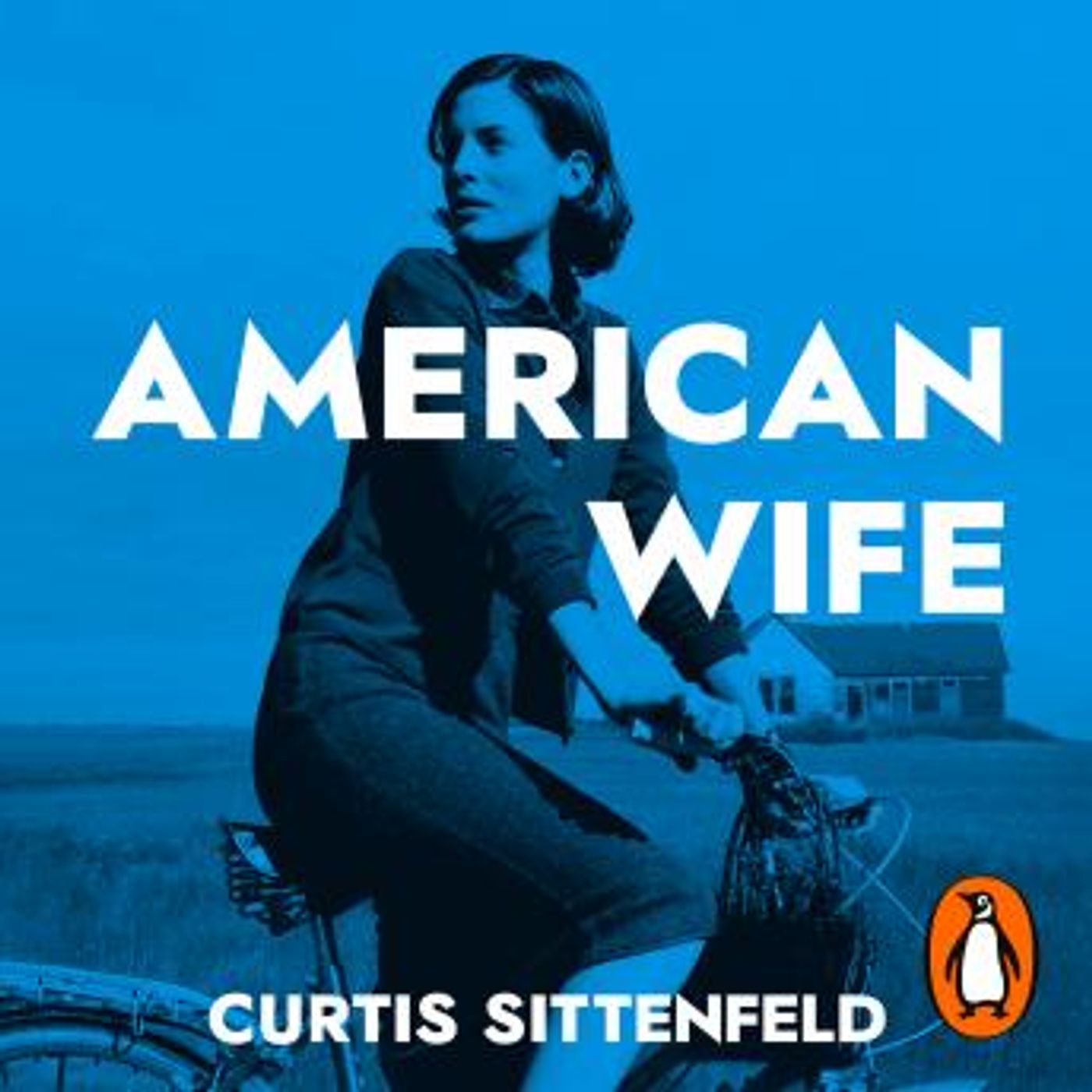 Download Best Full Audiobooks in Fiction, Contemporary Women