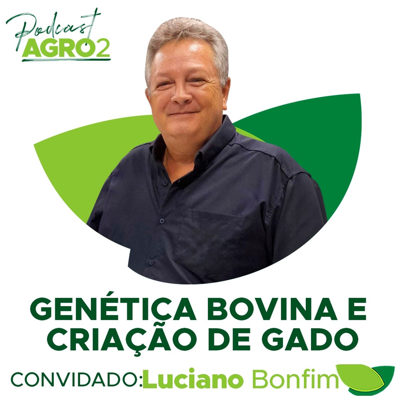 Genética bovina em Goiás #313 episode artwork