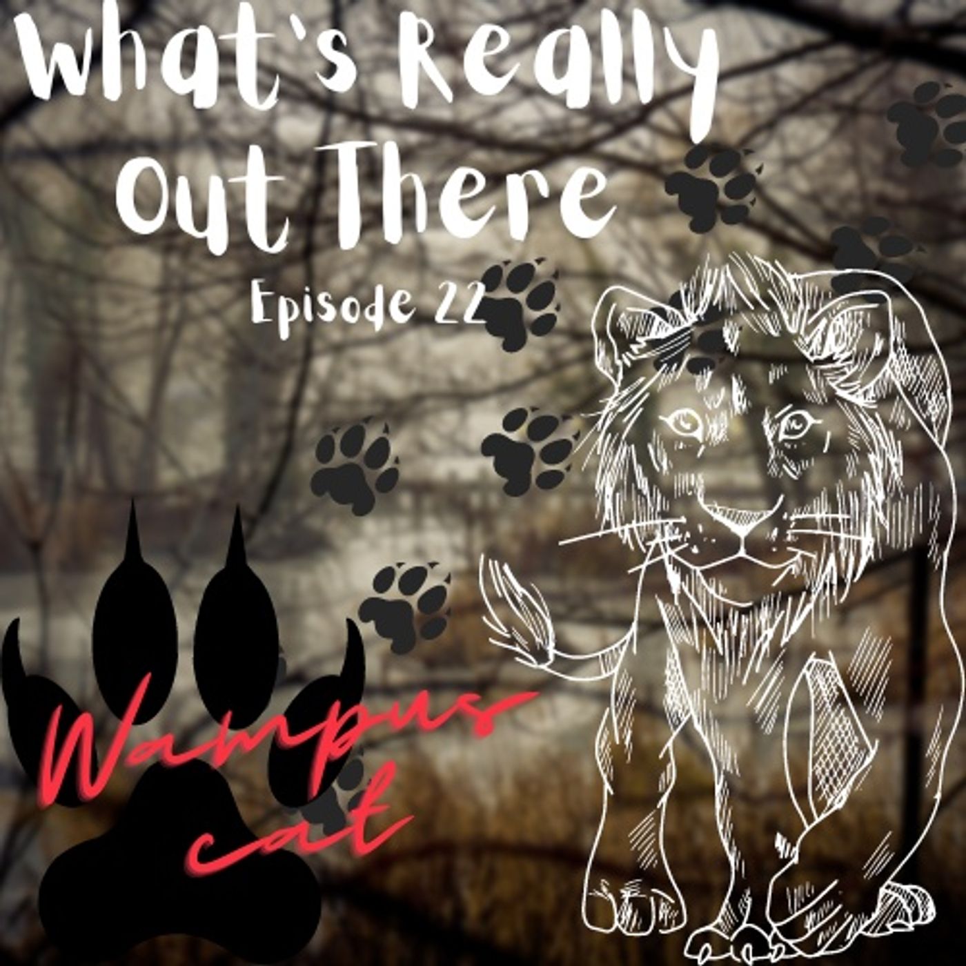 Wompus Cat episode artwork