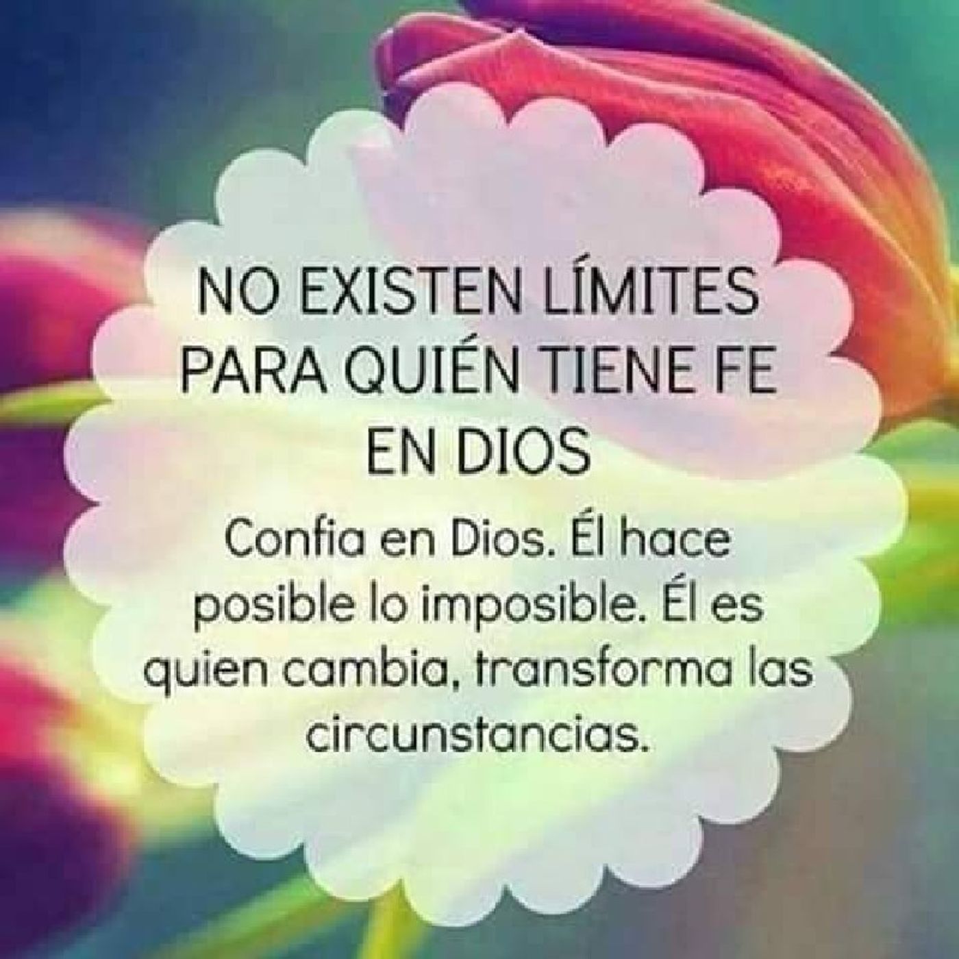 Sebastian Aguacaliente