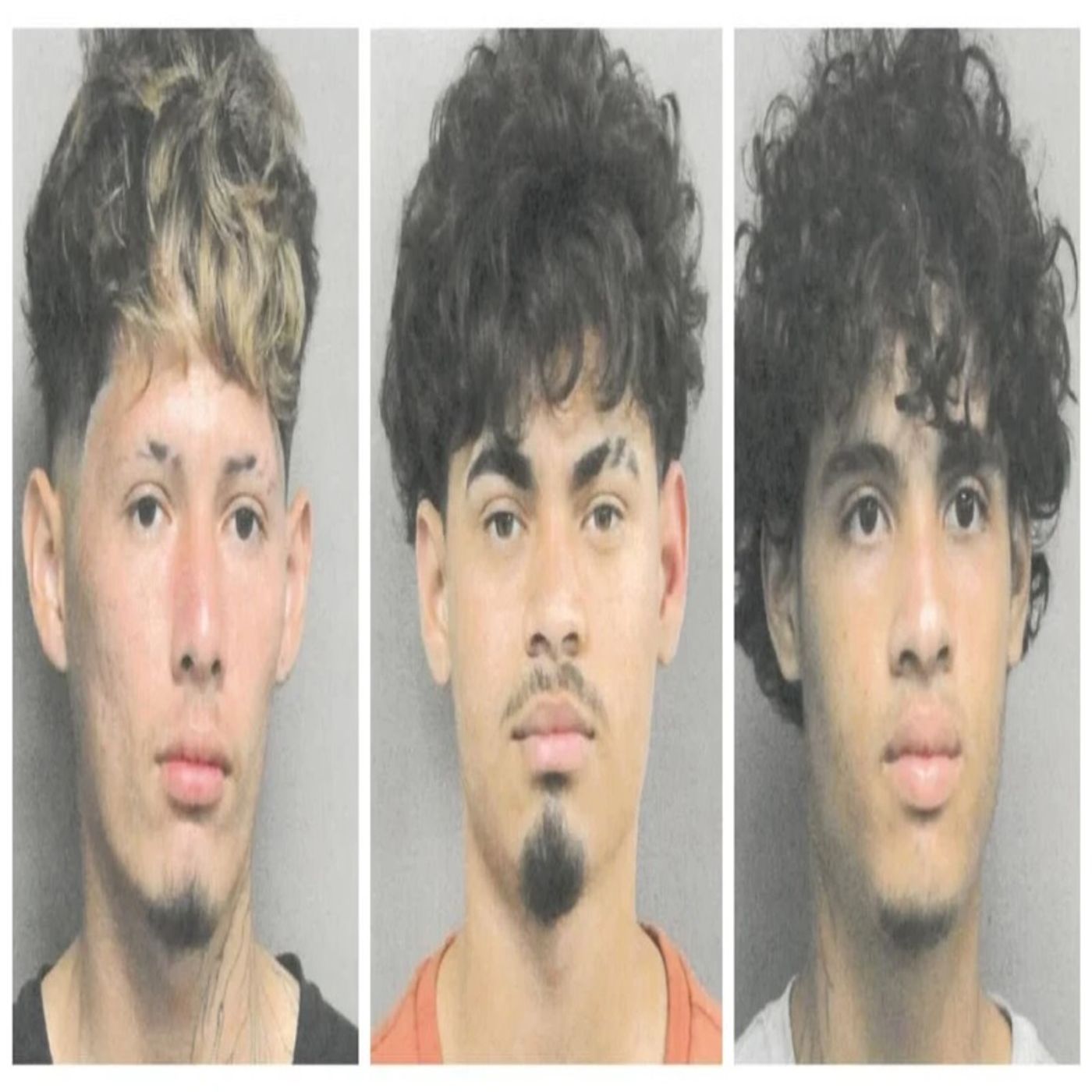 Nola Connection
