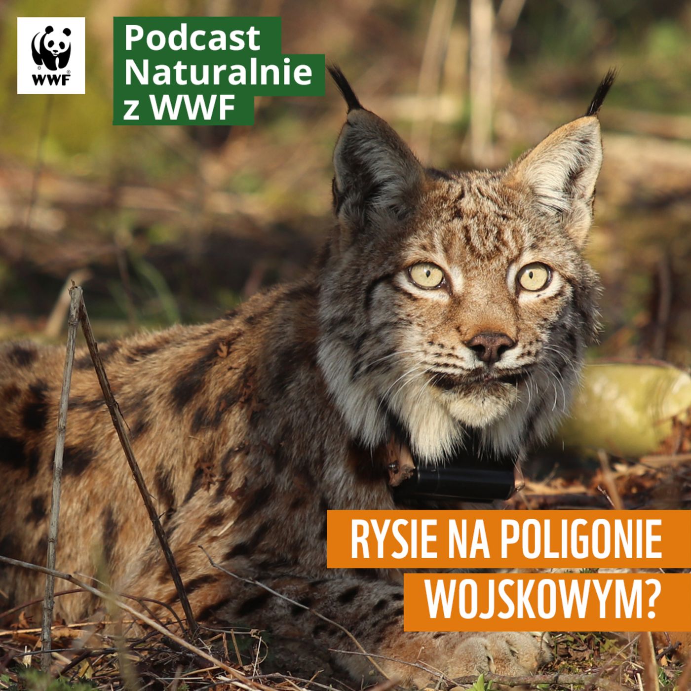 Naturalnie z WWF