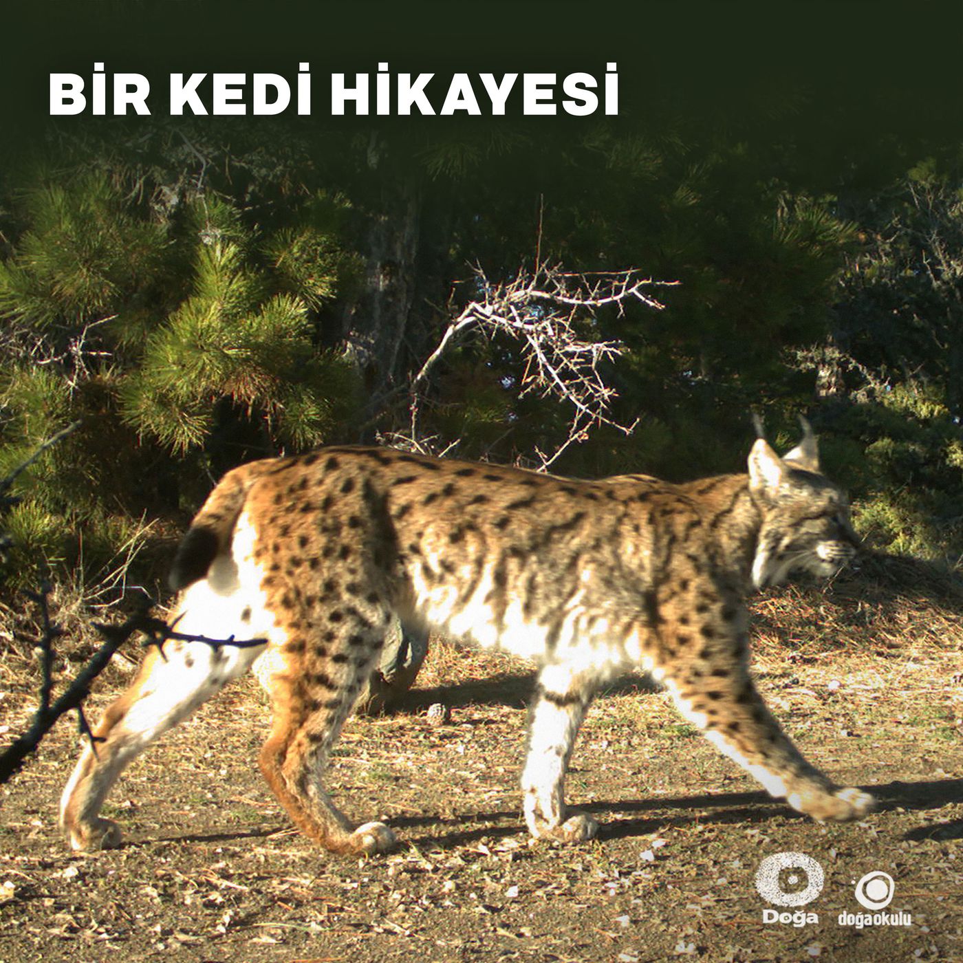 Doğa Sohbetleri