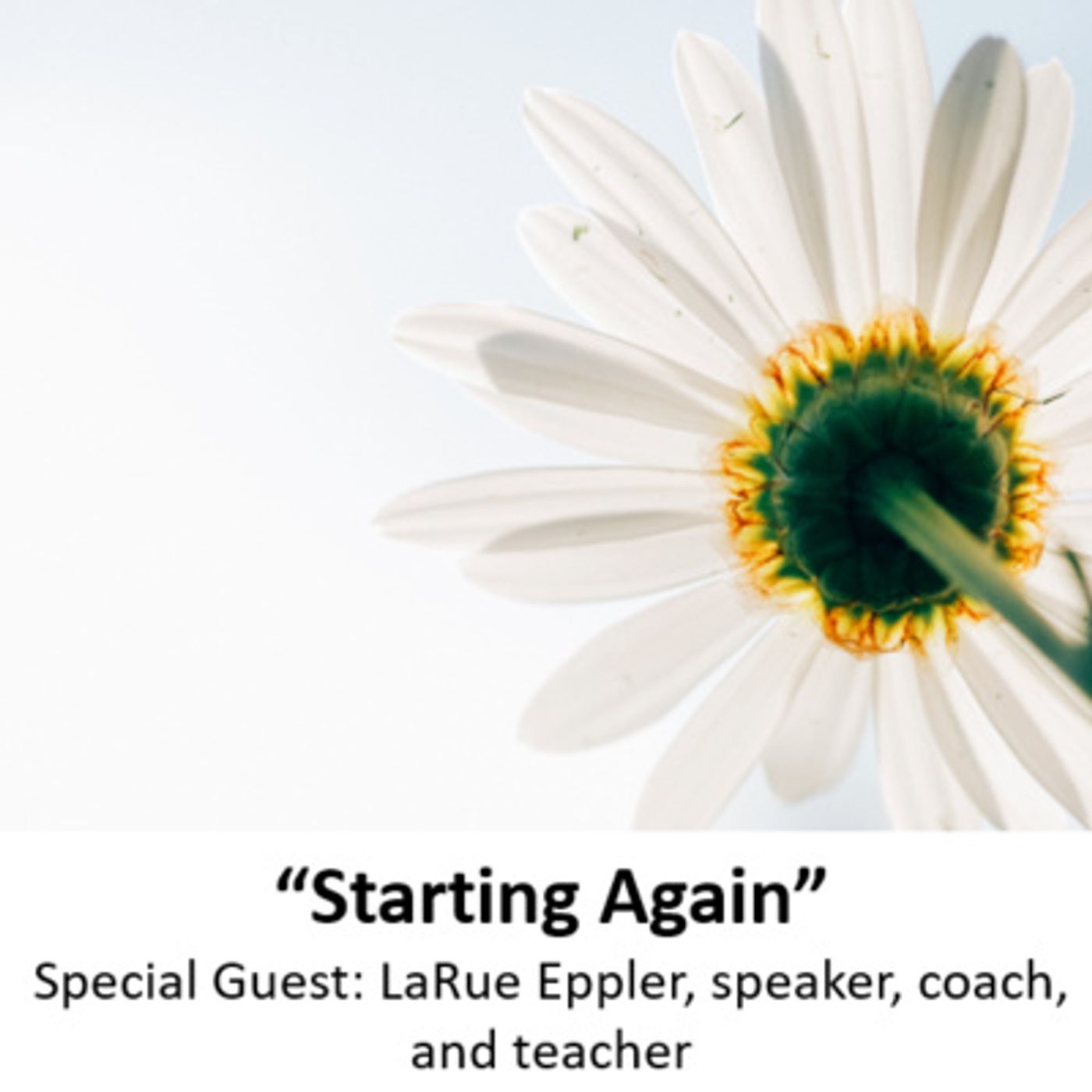 Connect to Joy Podcasts: Circle of Hope | Not Quite Strangers | Time to Come Alive