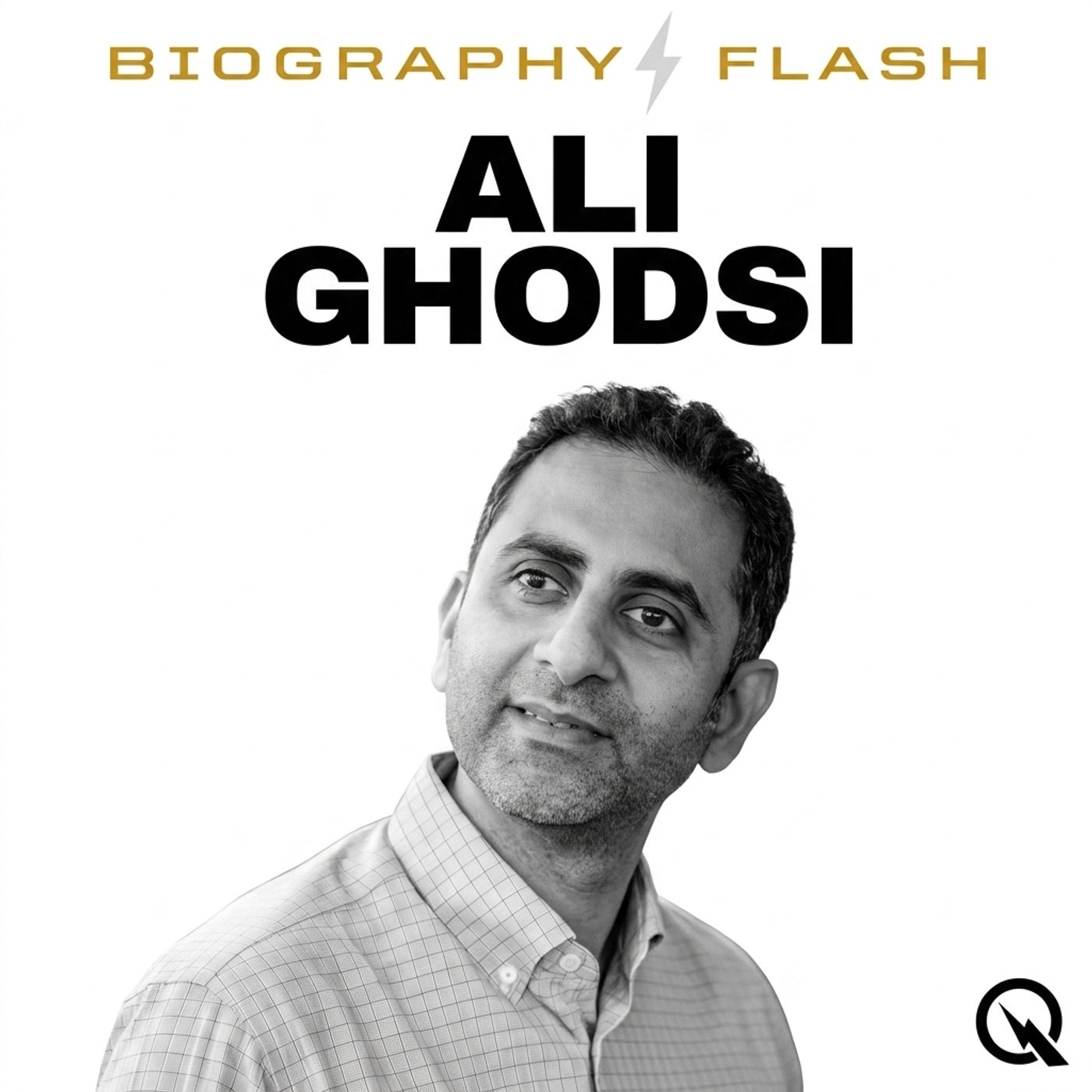 Ali Ghodsi - Biography Flash