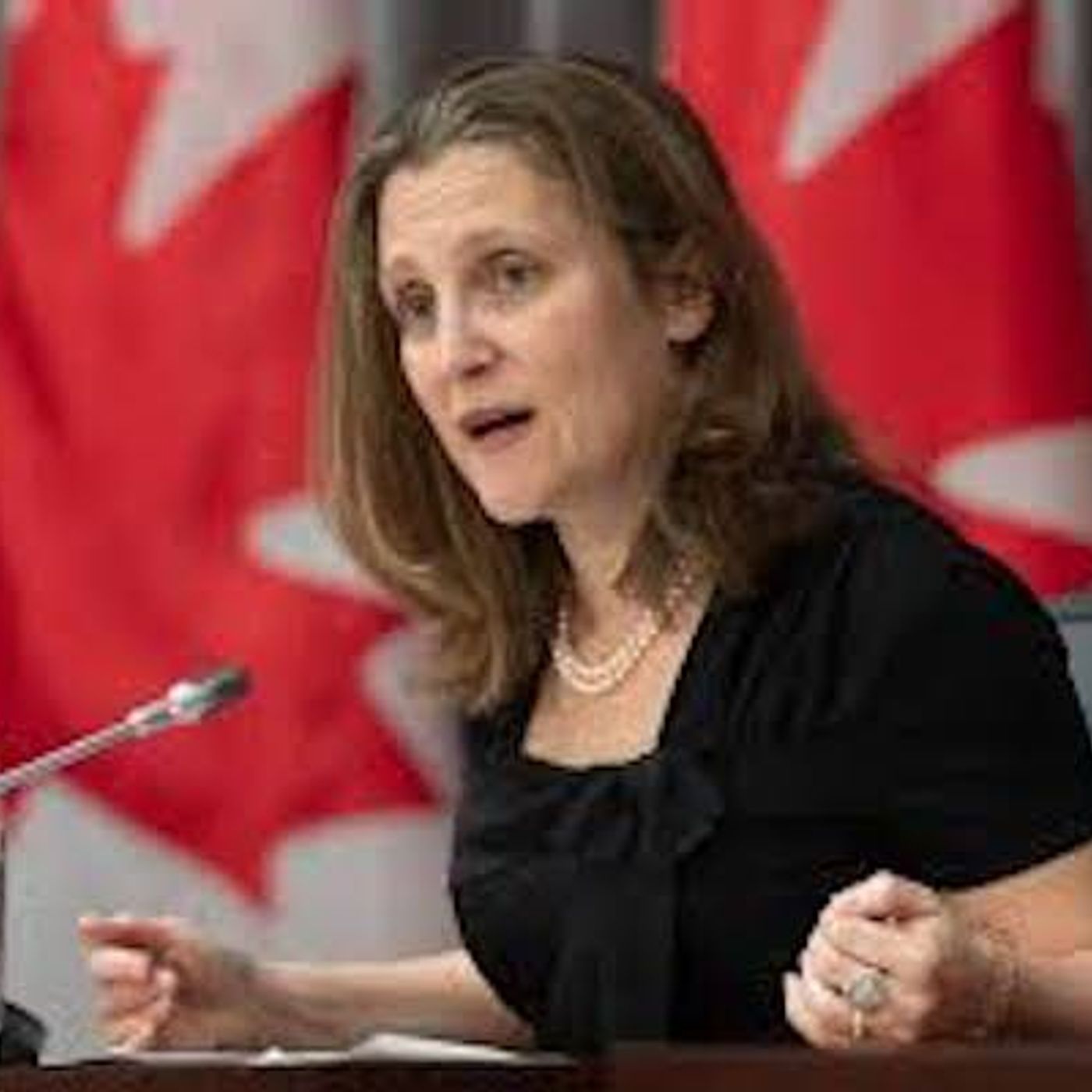 Federal ministers and health officials provide COVID-19 update episode artwork