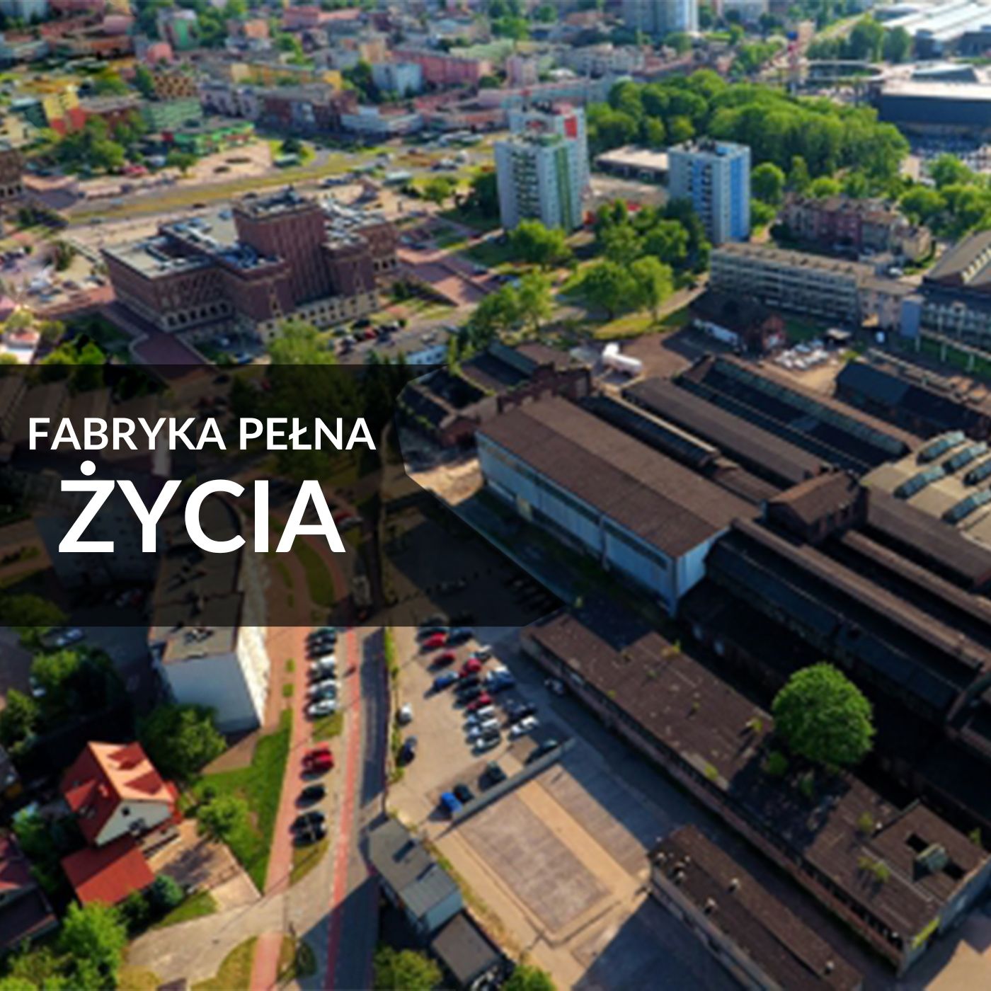 Zagłębie Młodych