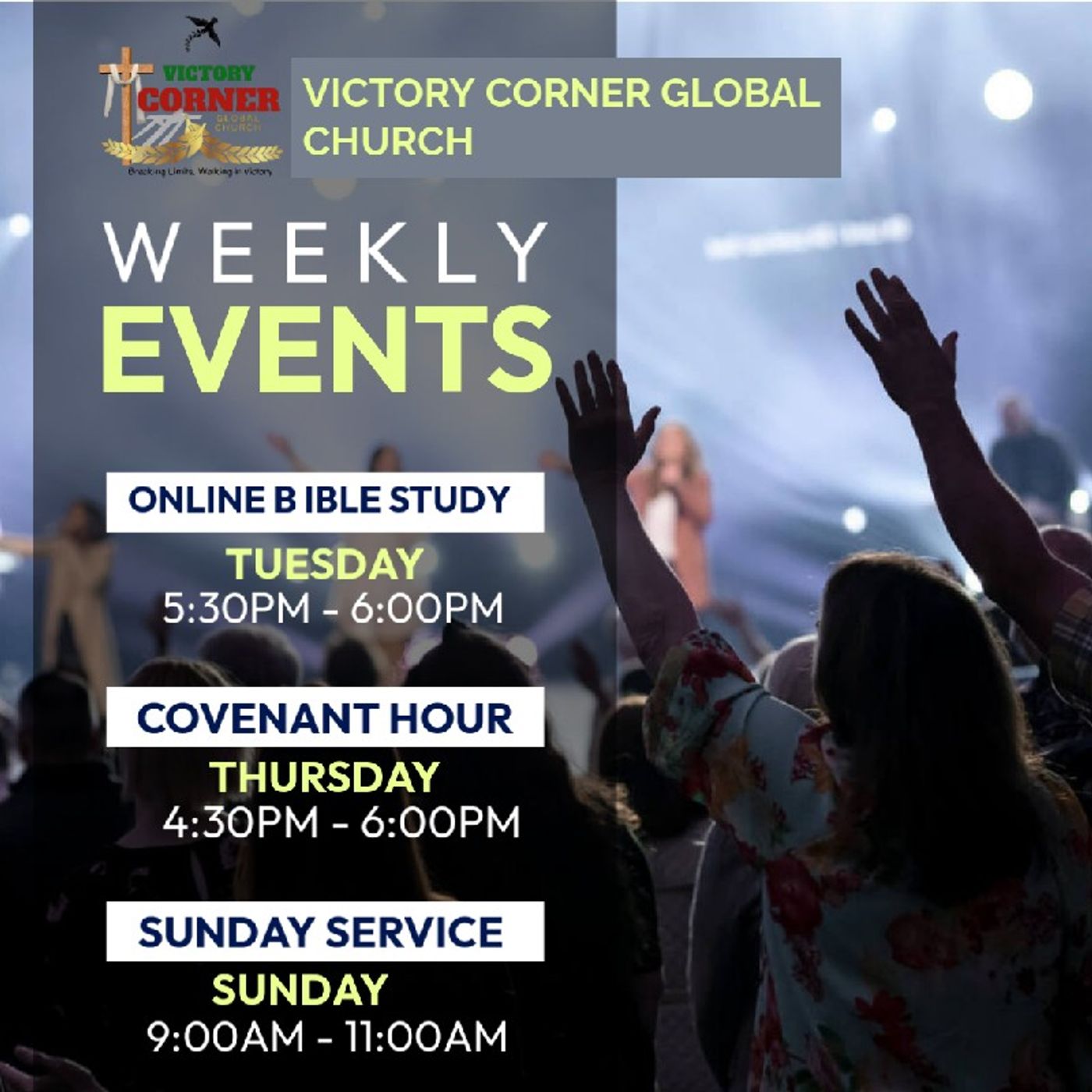 Sunday Service Broadcast with Pst Ndubuisi episode artwork