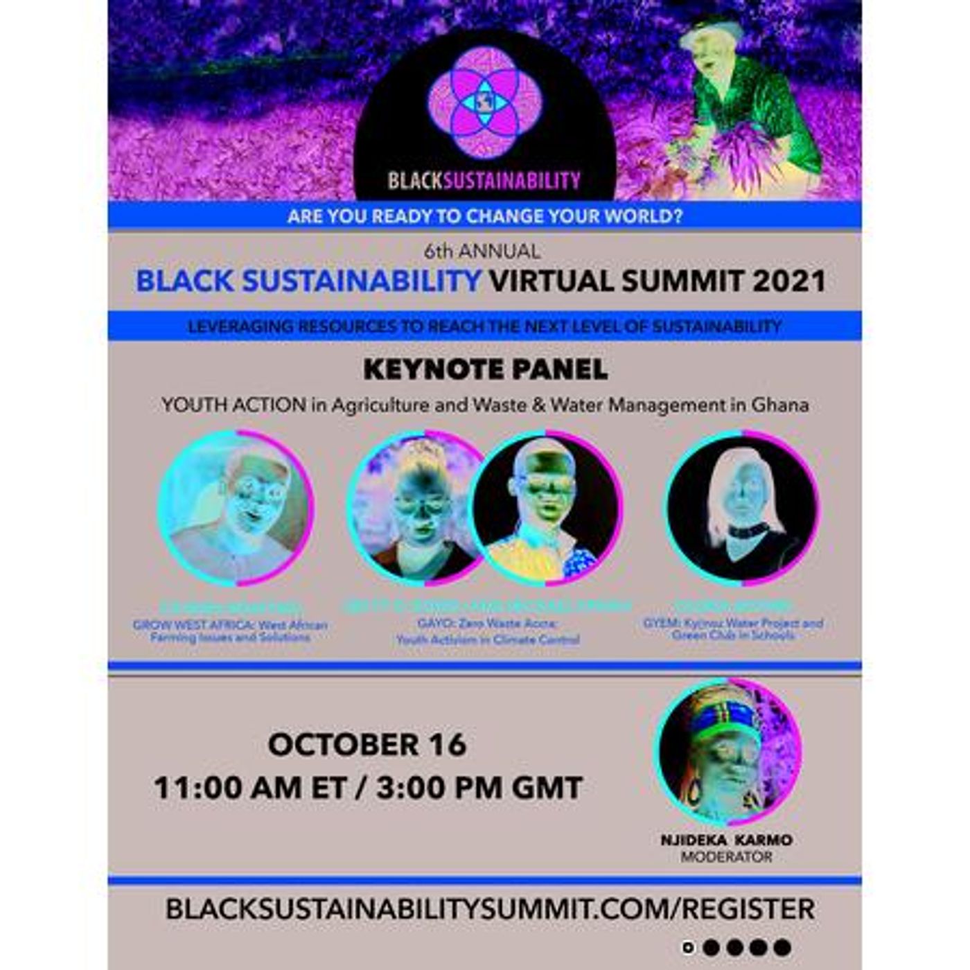 Wanda's Picks Radio Show Special-- 6th Annual Black Sustainablity Summit, 10/14 episode artwork