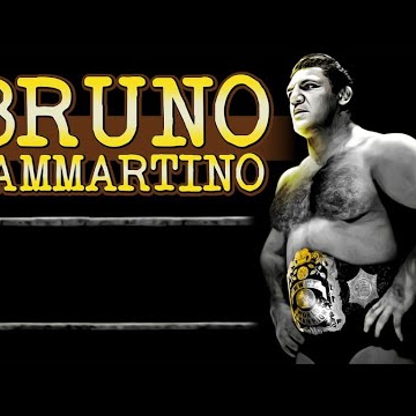“Bruno Sammartino: Wrestling’s Greatest Champion – The Untold Italian-American Legacy” 🇮🇹🏆