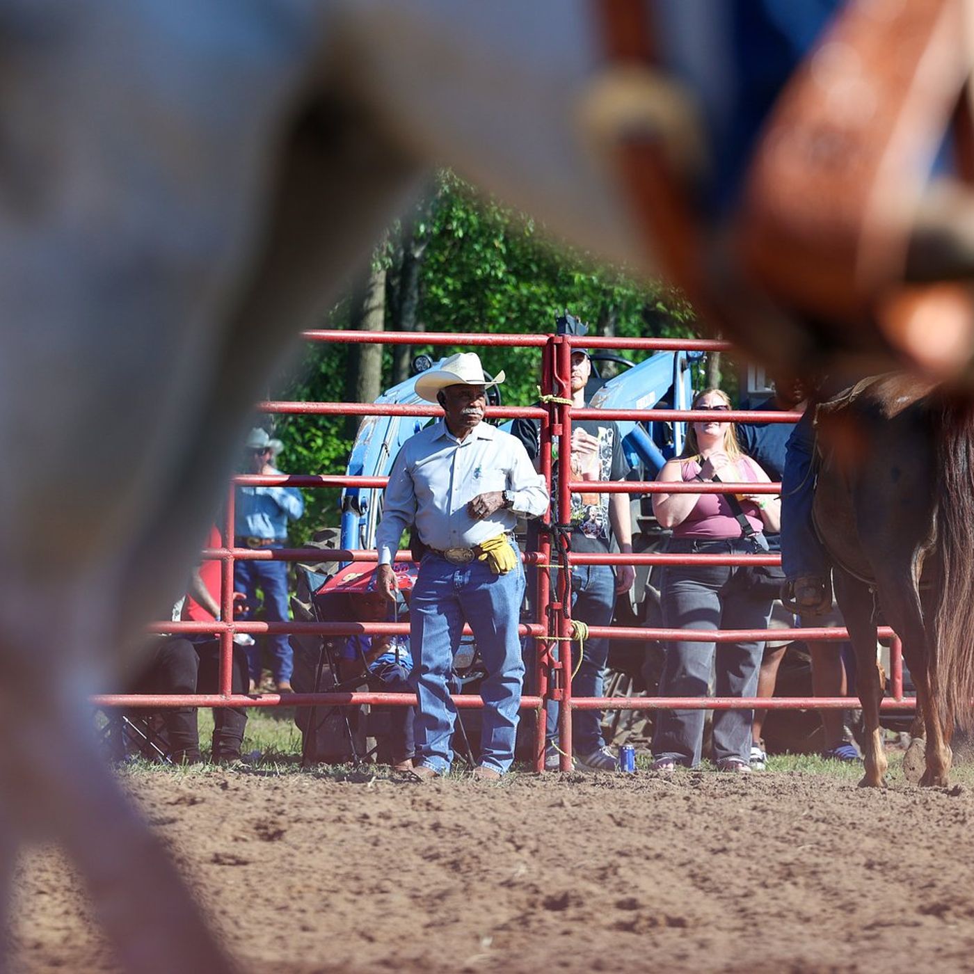 Pembroke Rodeo celebrates 50 years episode artwork