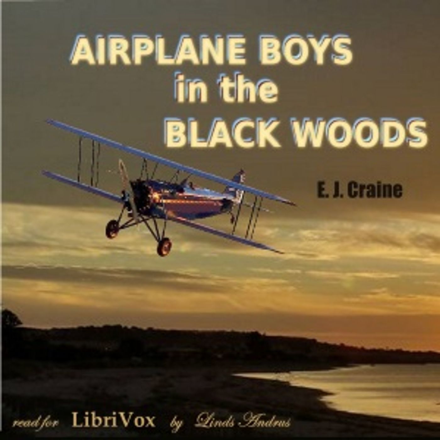 Airplane Boys in the Black Woods by E. J. Craine (1881 – )