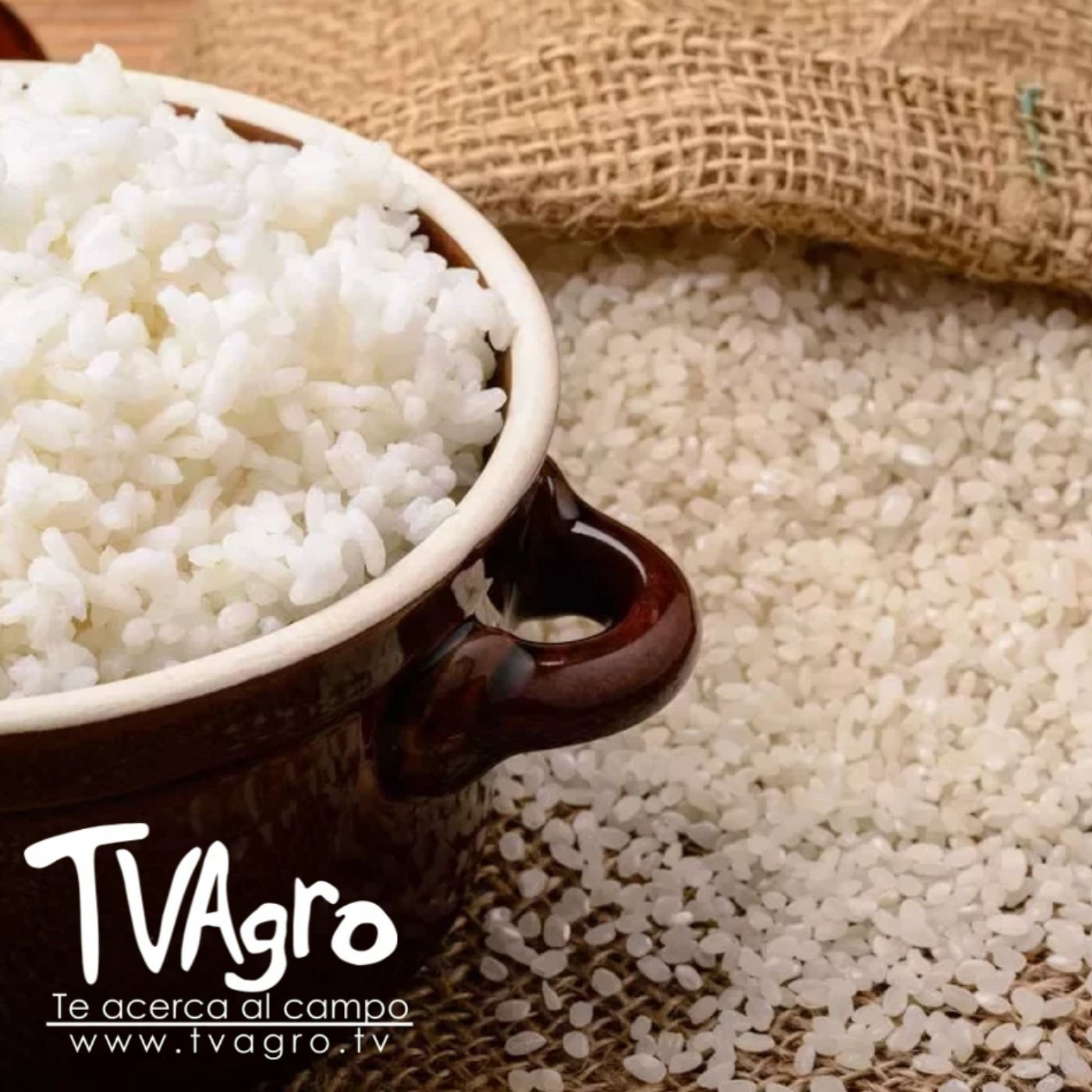TV AGRO