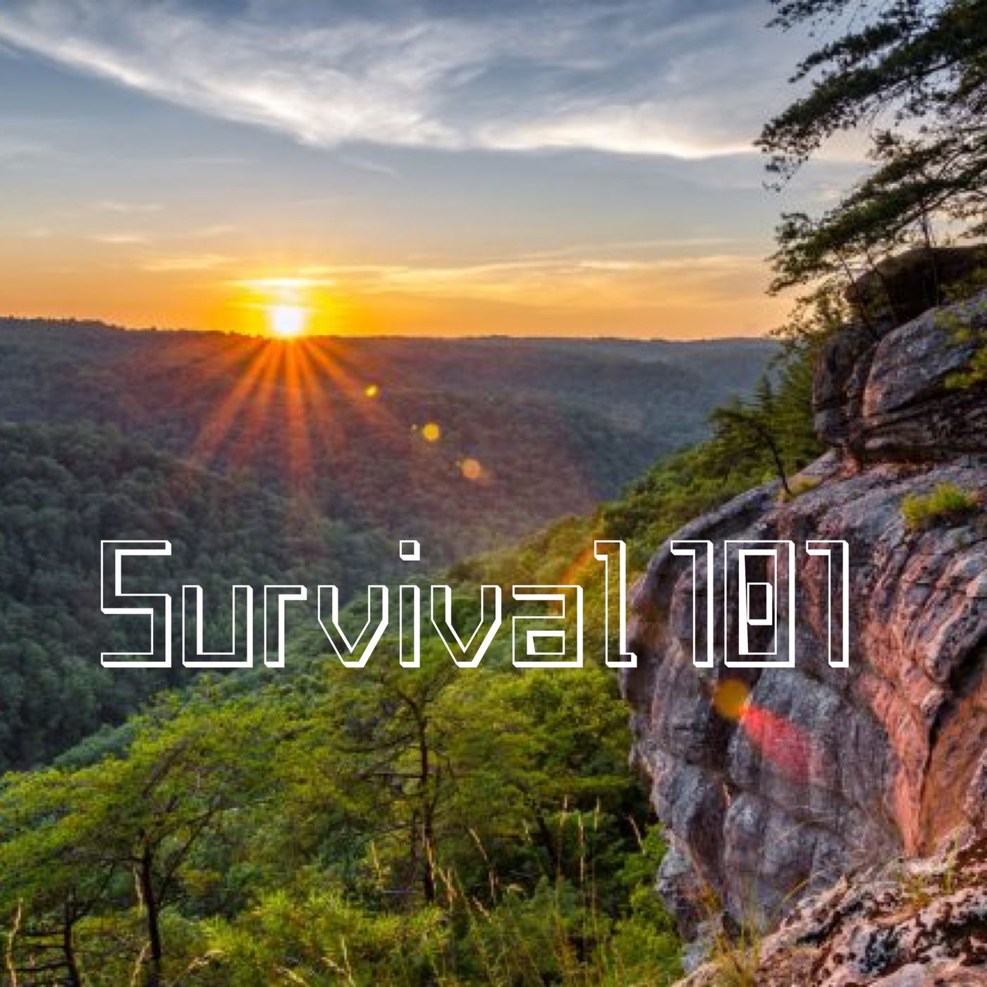 Episode 48- Survival 101 episode artwork