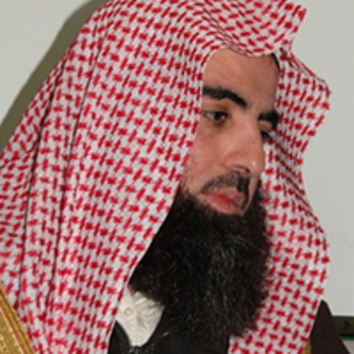 Surah ar-rahman - Muhammad al luhaidan